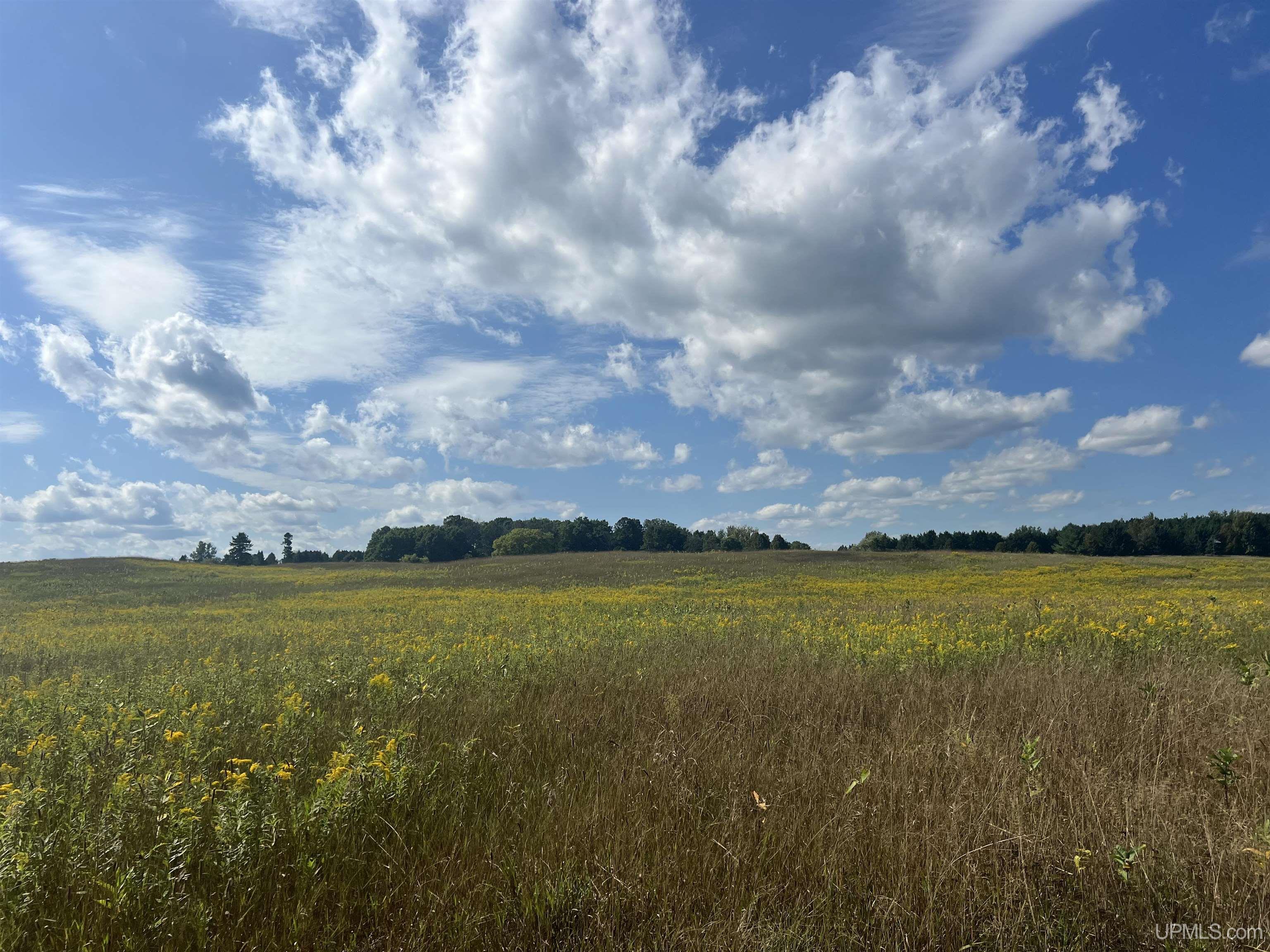 Tbd 16th Lane Property Photo 4