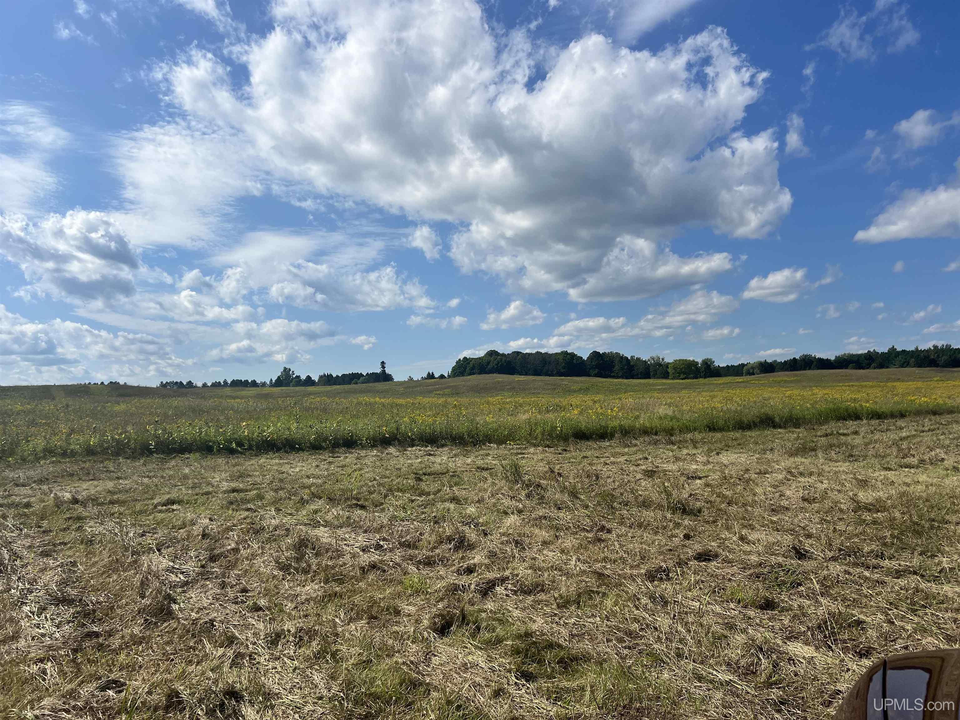 Tbd 16th Lane Property Photo 5