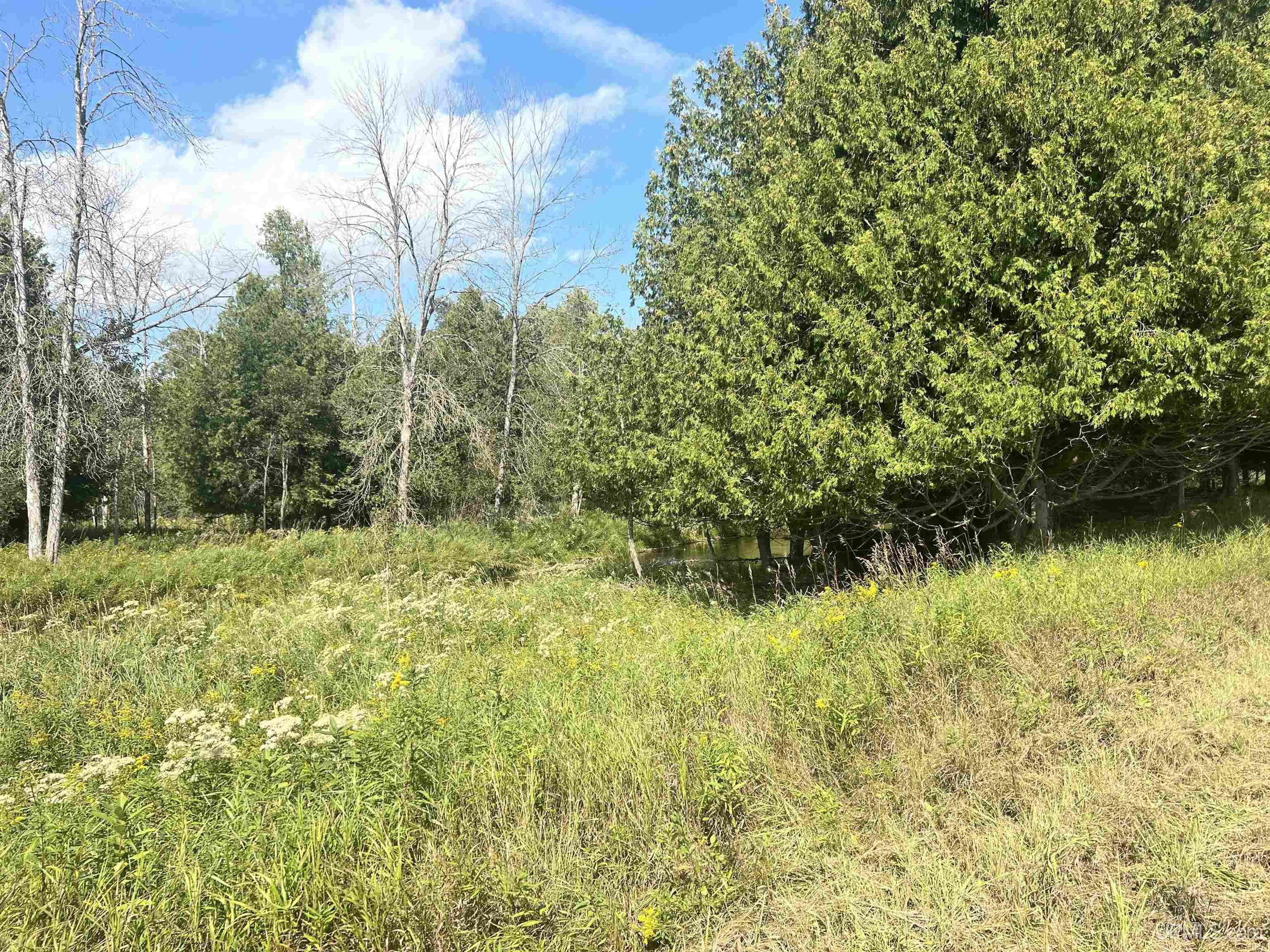 Tbd 16th Lane Property Photo 7