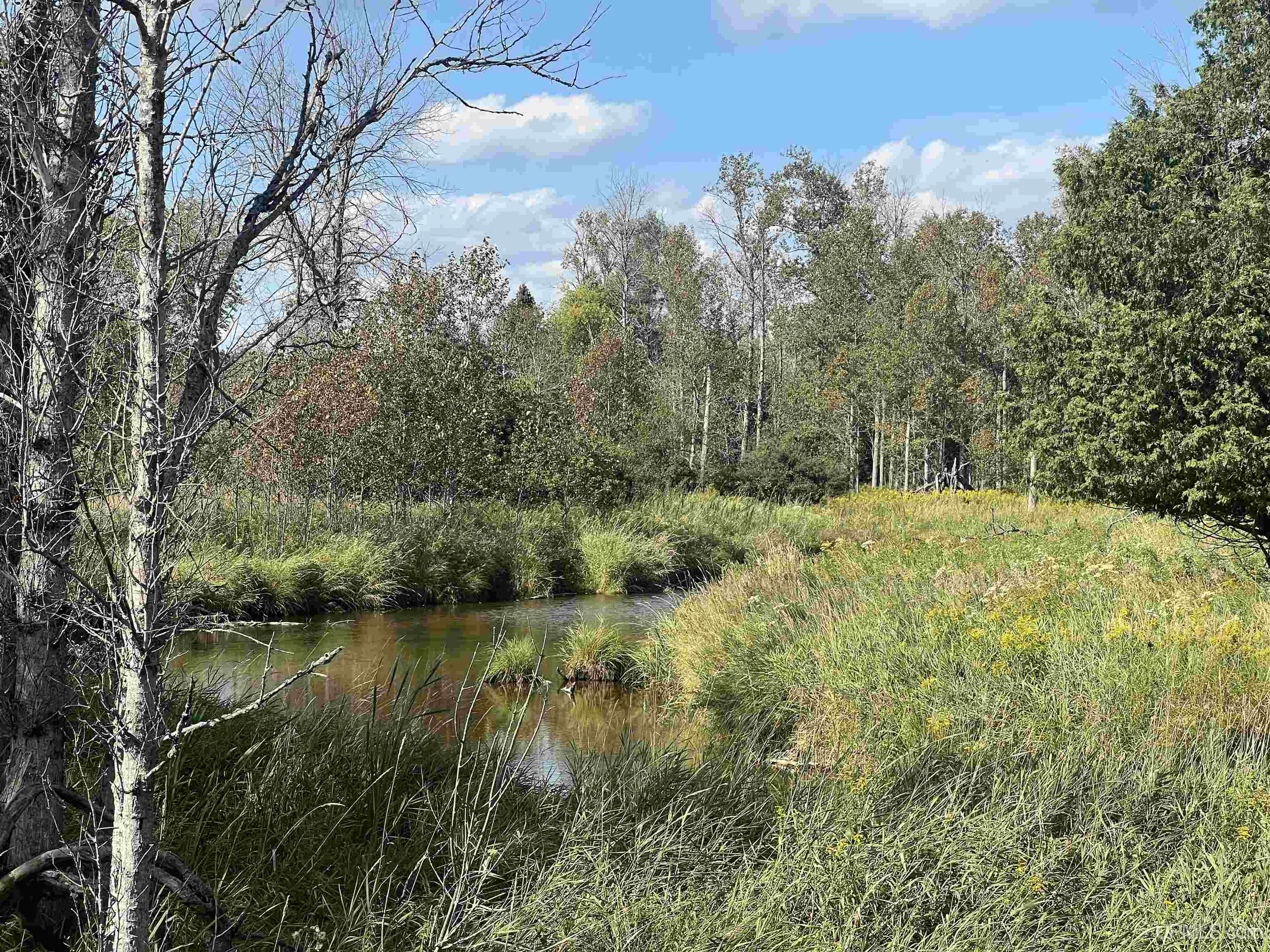 Tbd 16th Lane Property Photo 9