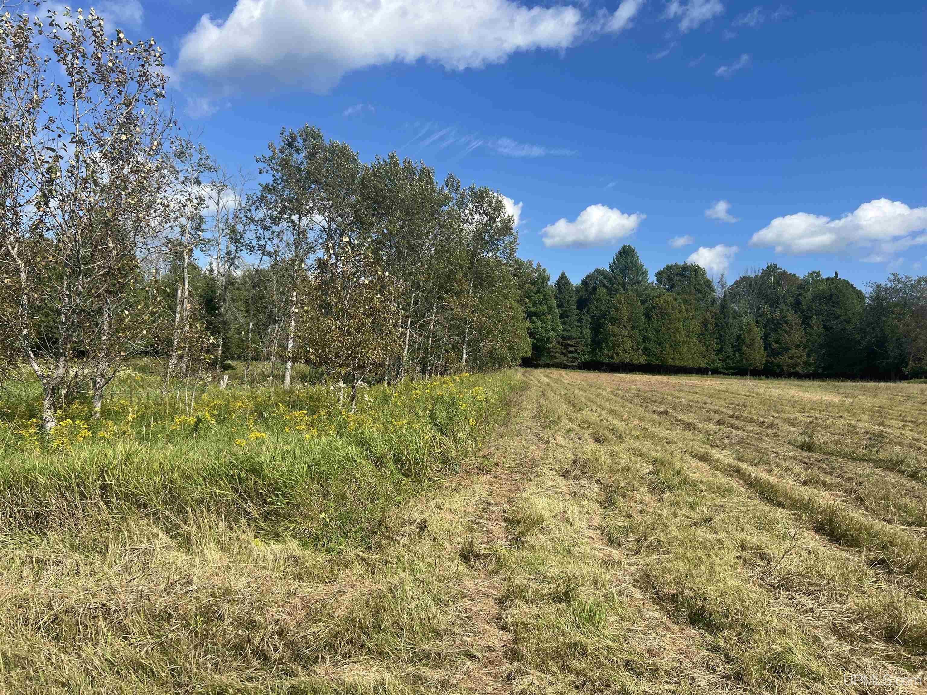 Tbd 16th Lane Property Photo 10
