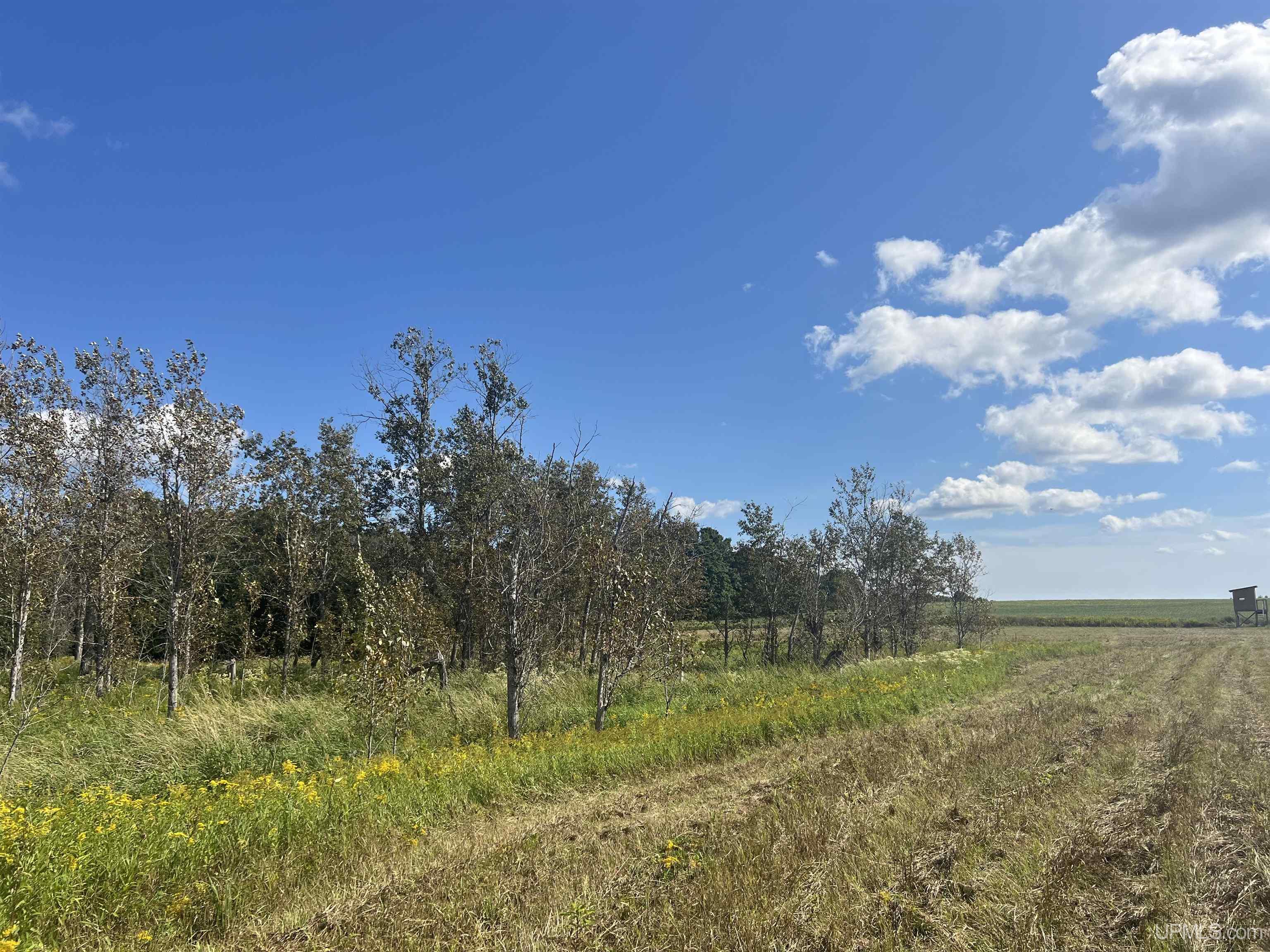 Tbd 16th Lane Property Photo 11