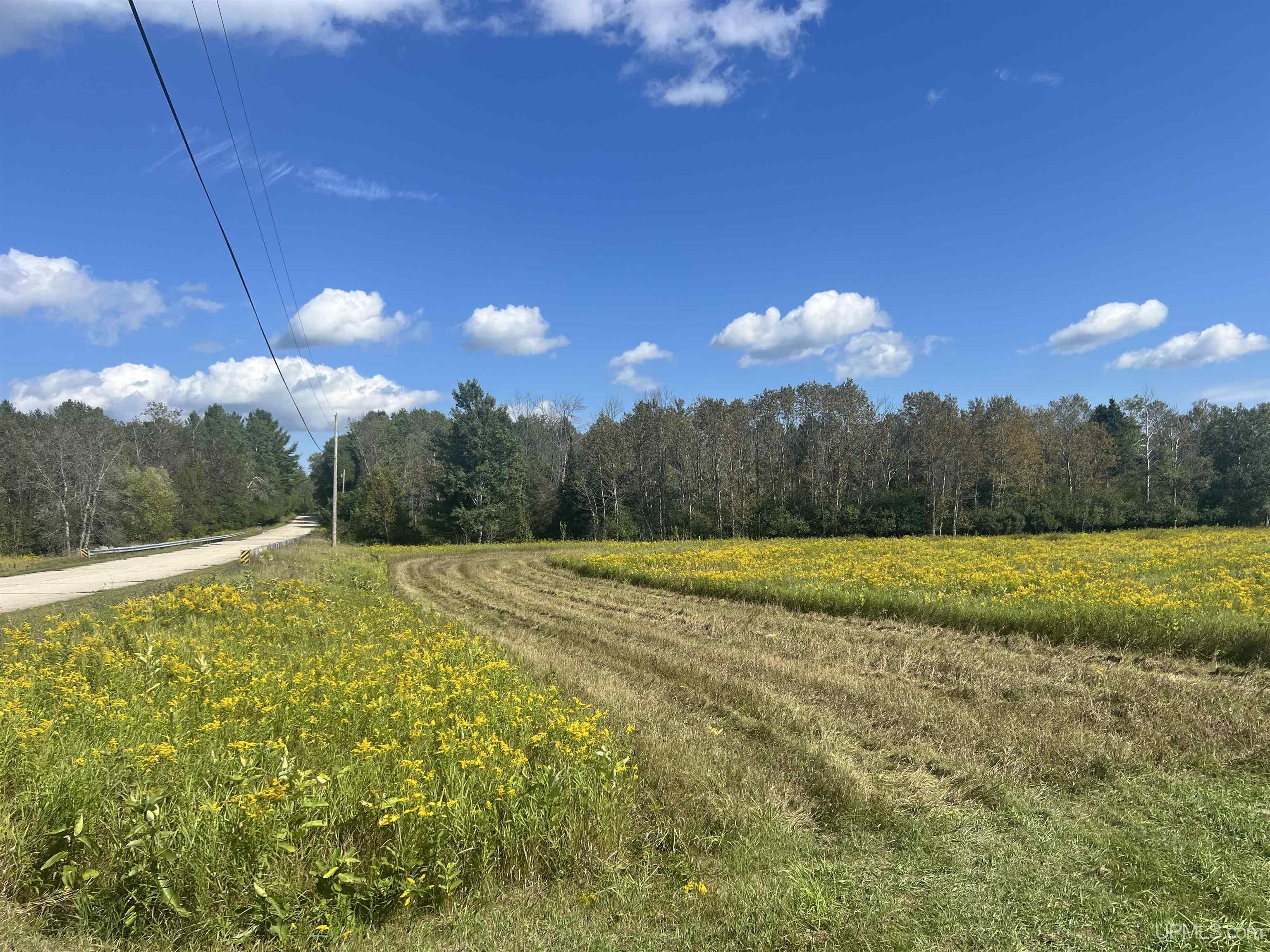 Tbd 16th Lane Property Photo 12