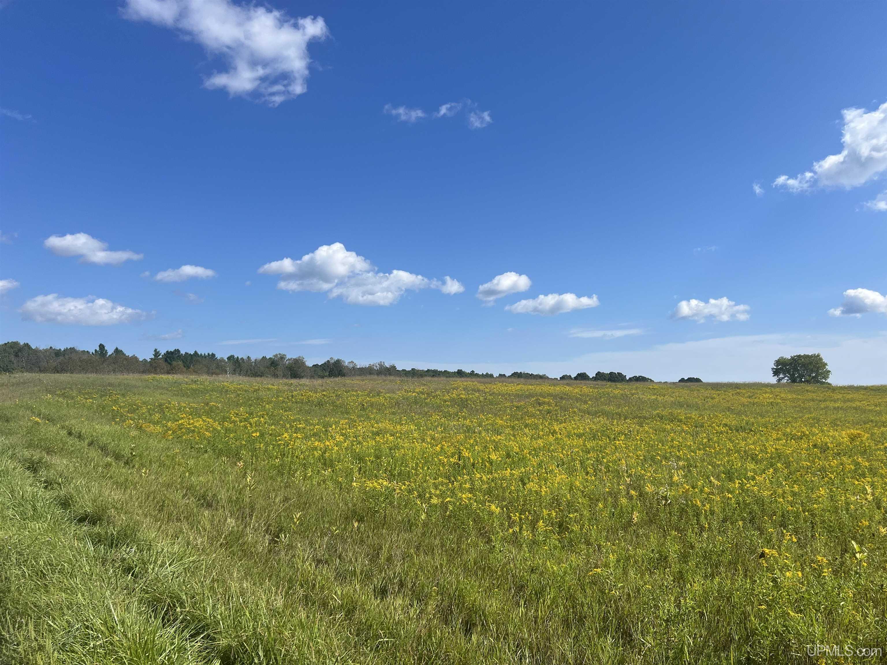 Tbd 16th Lane Property Photo 15