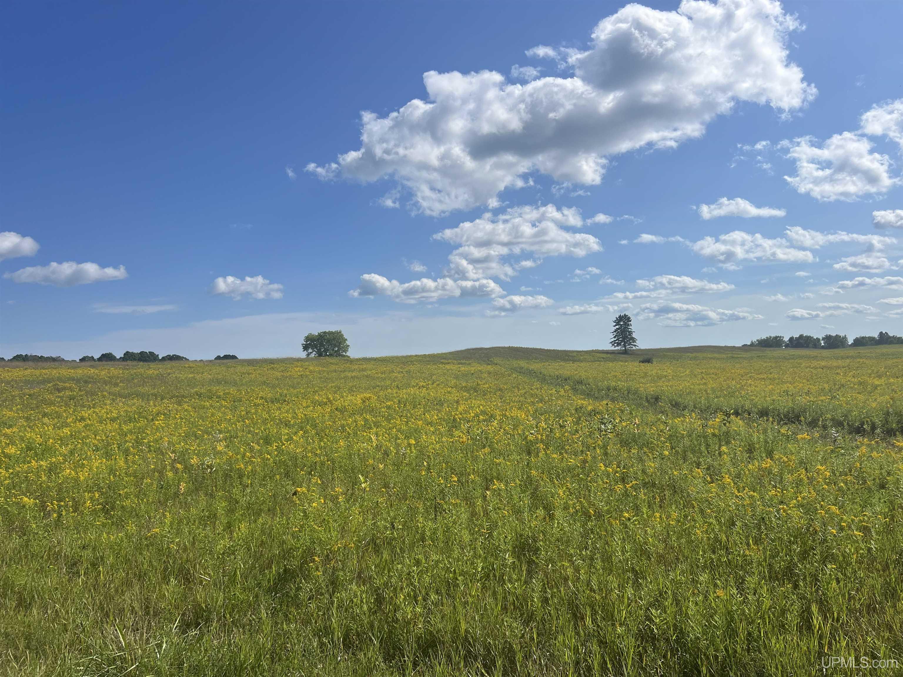 Tbd 16th Lane Property Photo 18