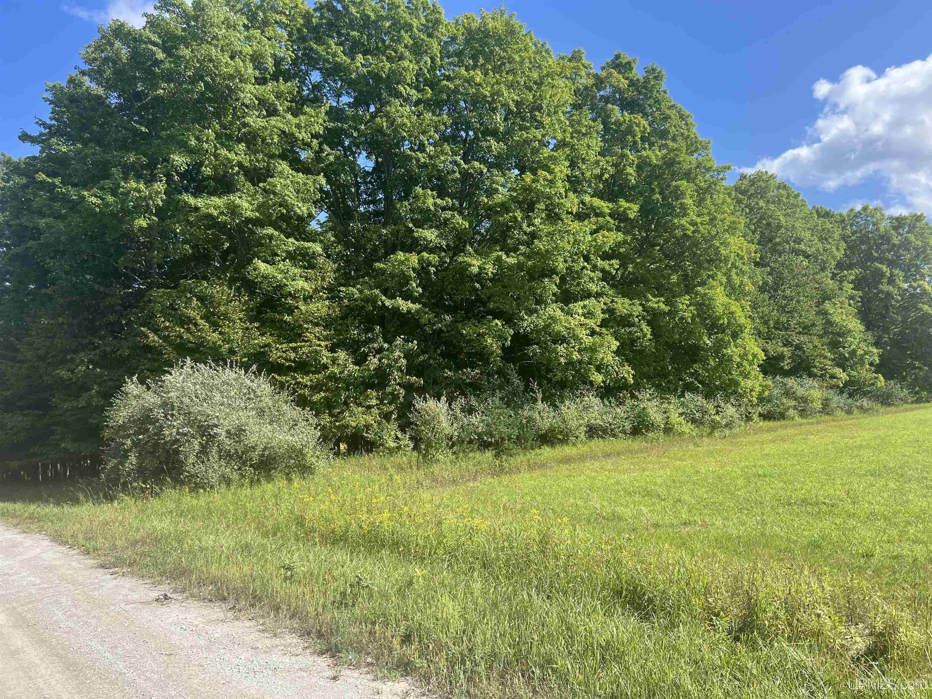 Tbd 16th Lane Property Photo 21