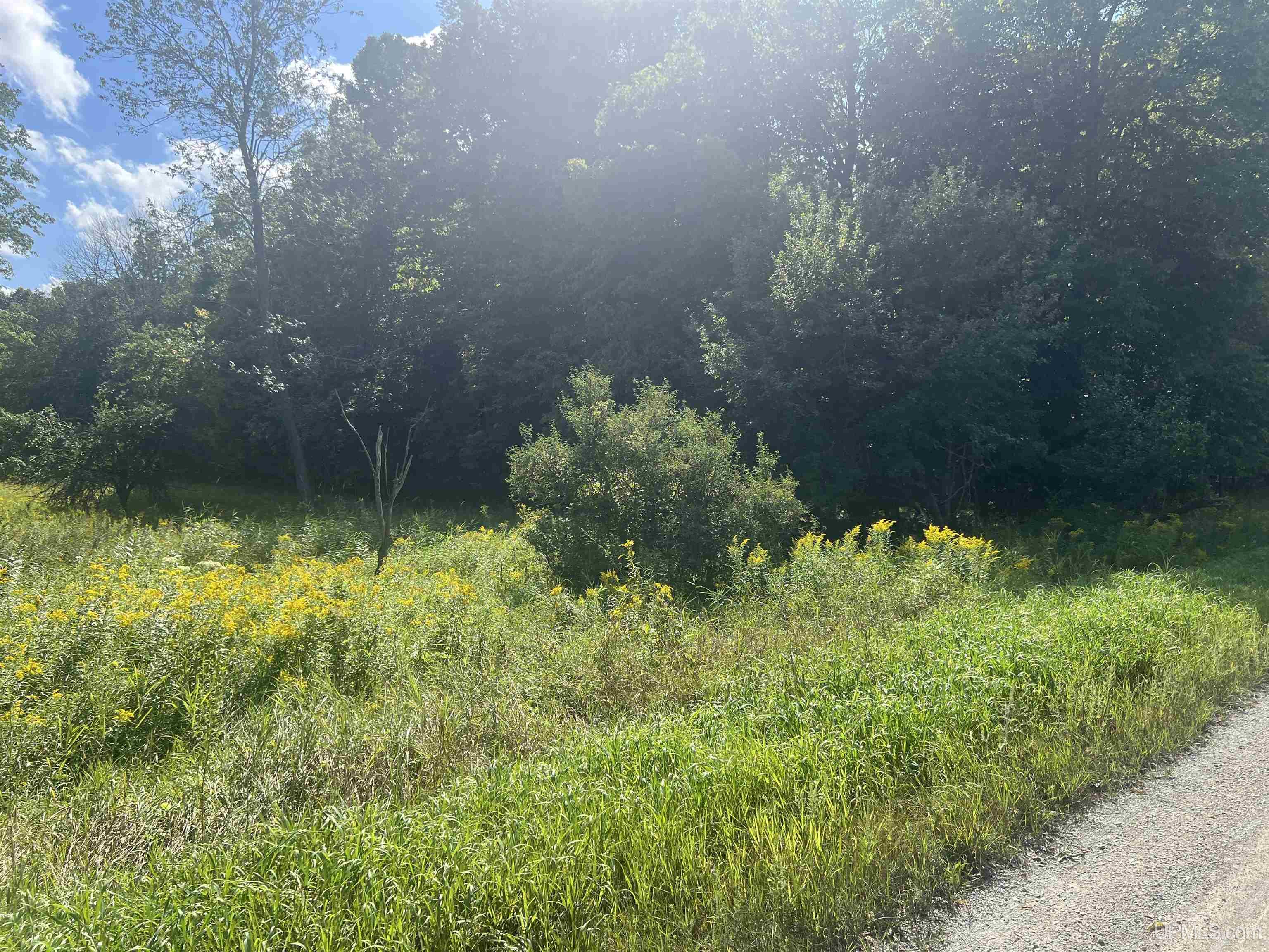 Tbd 16th Lane Property Photo 22