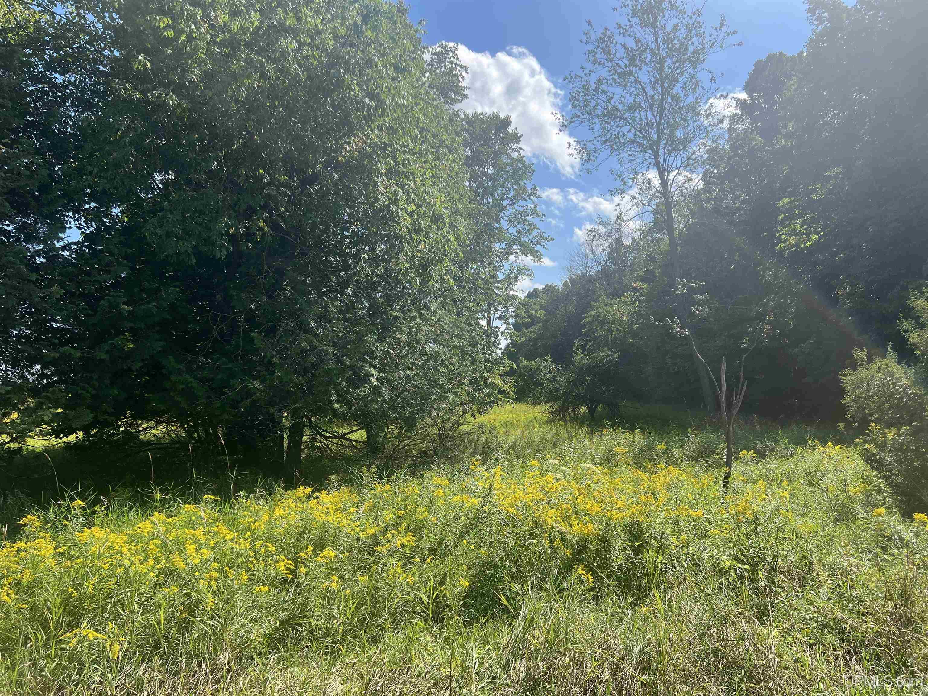 Tbd 16th Lane Property Photo 23