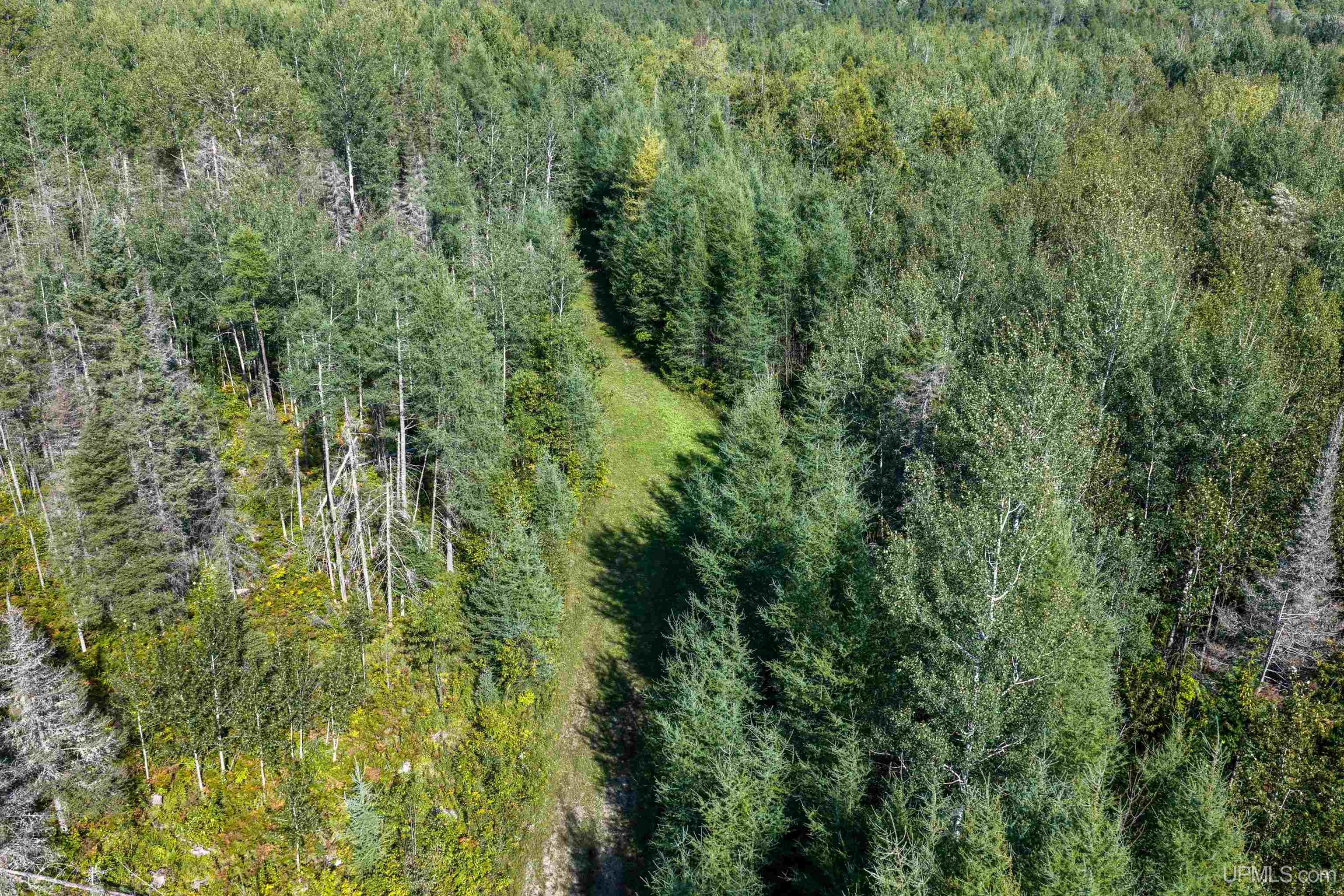 1746 Sz Road Property Photo 4