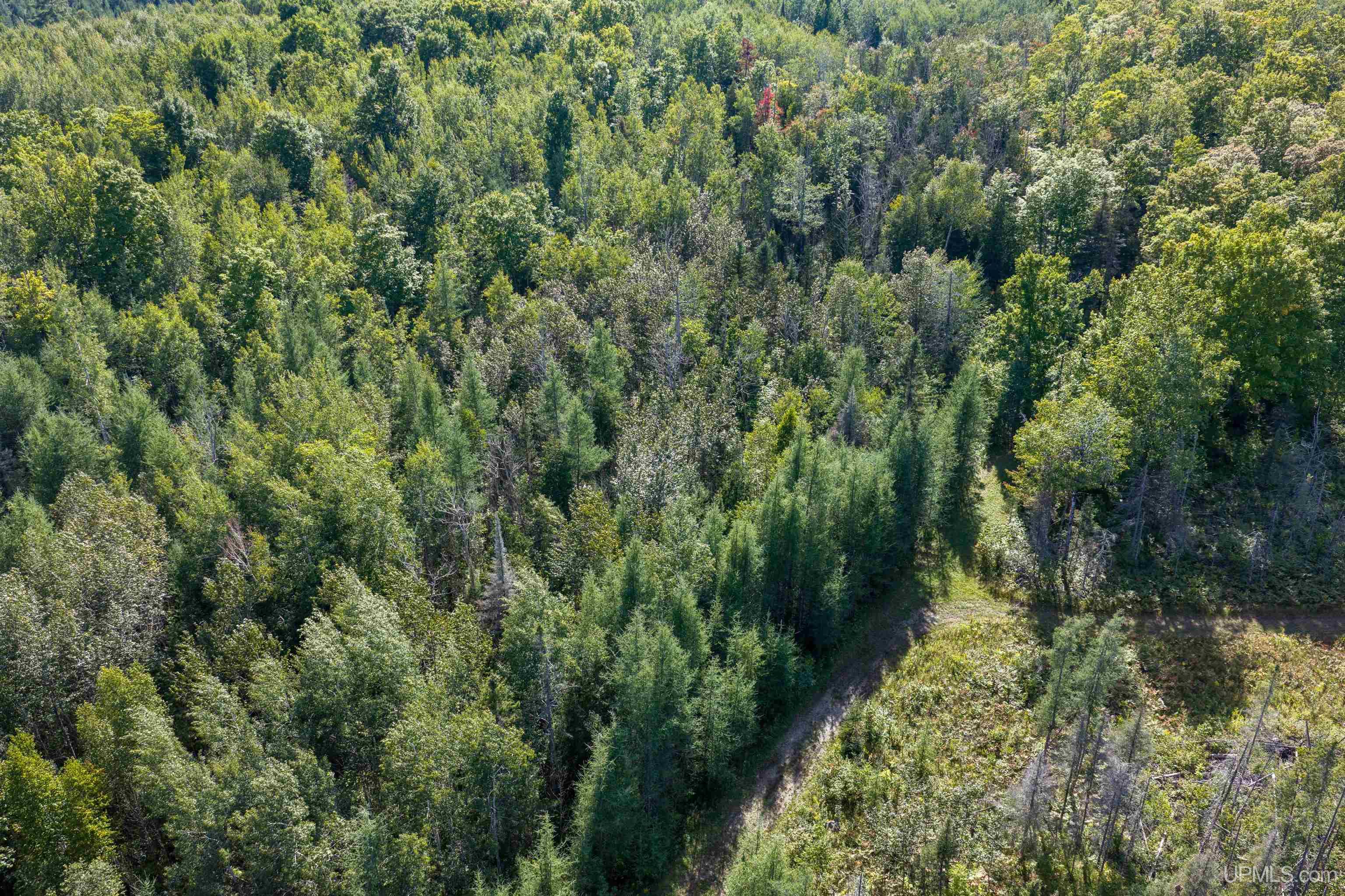 1746 Sz Road Property Photo 9