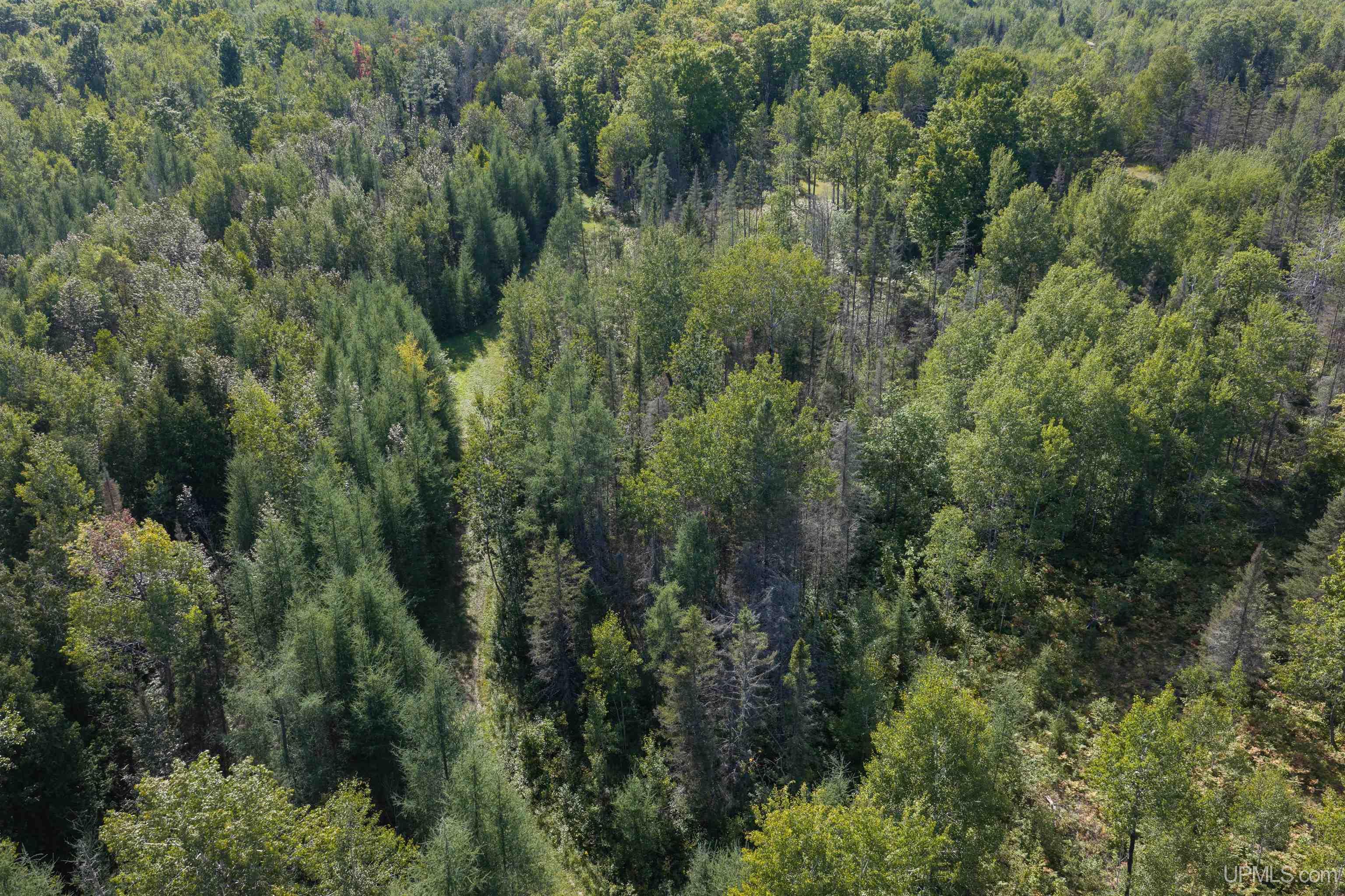 1746 Sz Road Property Photo 11