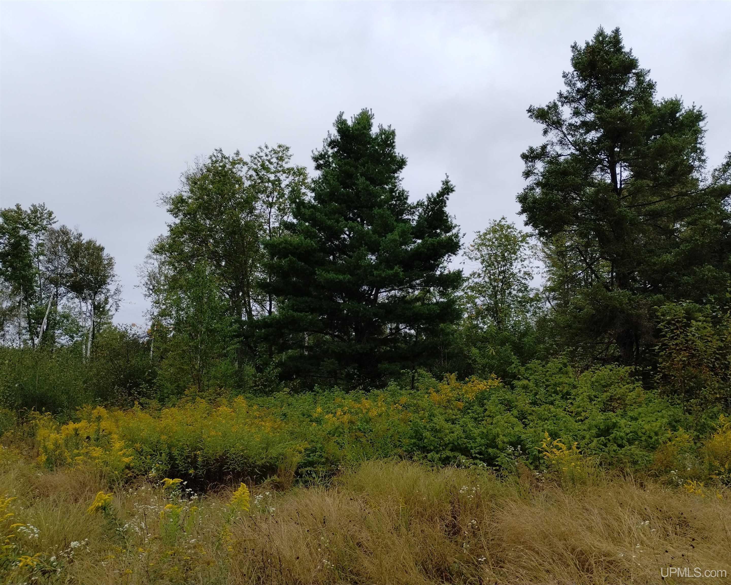 Tbd No. Rock 38th Road Property Photo 1