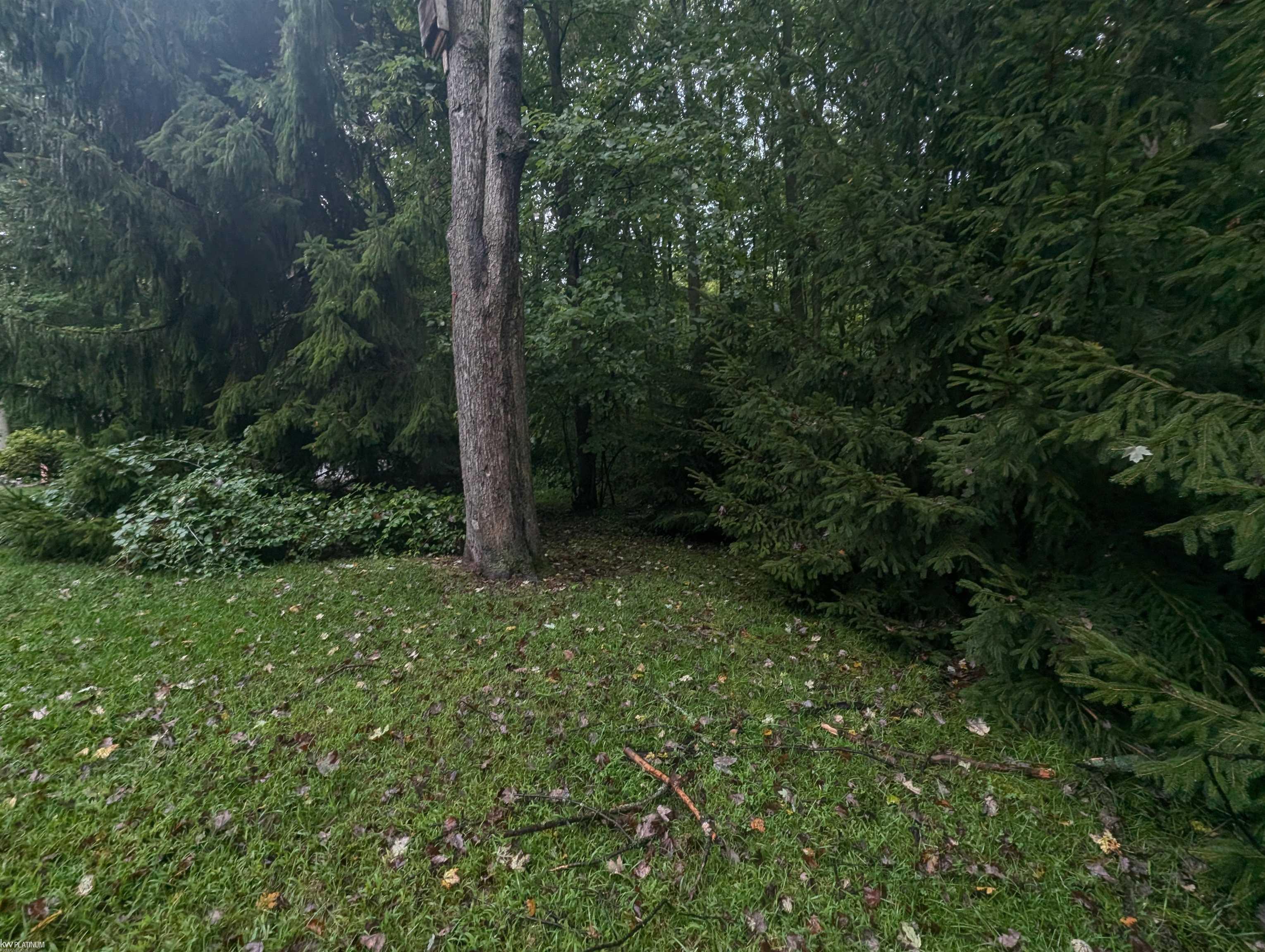7690 Lambs Road Property Photo 9