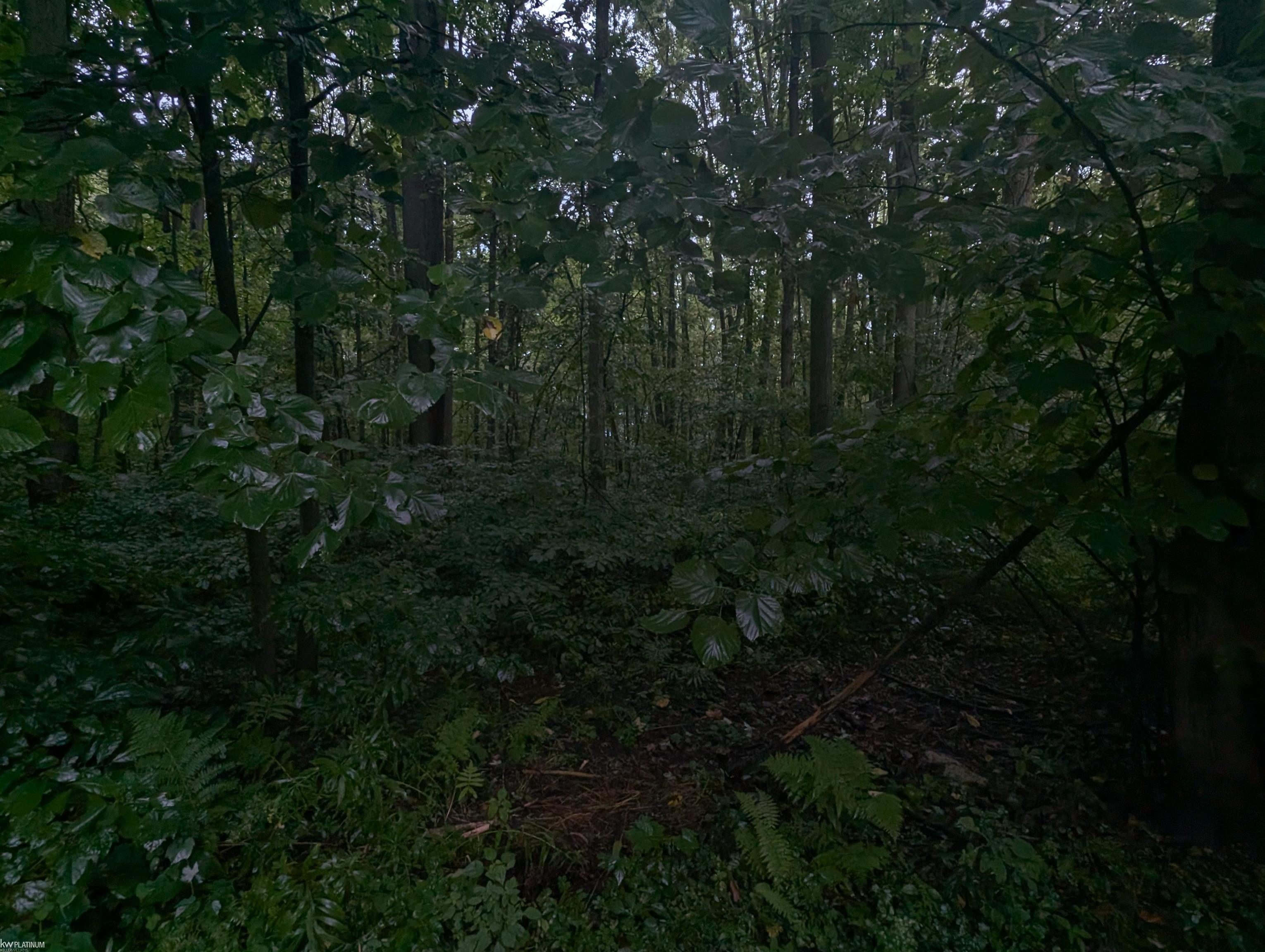 7690 Lambs Road Property Photo 11
