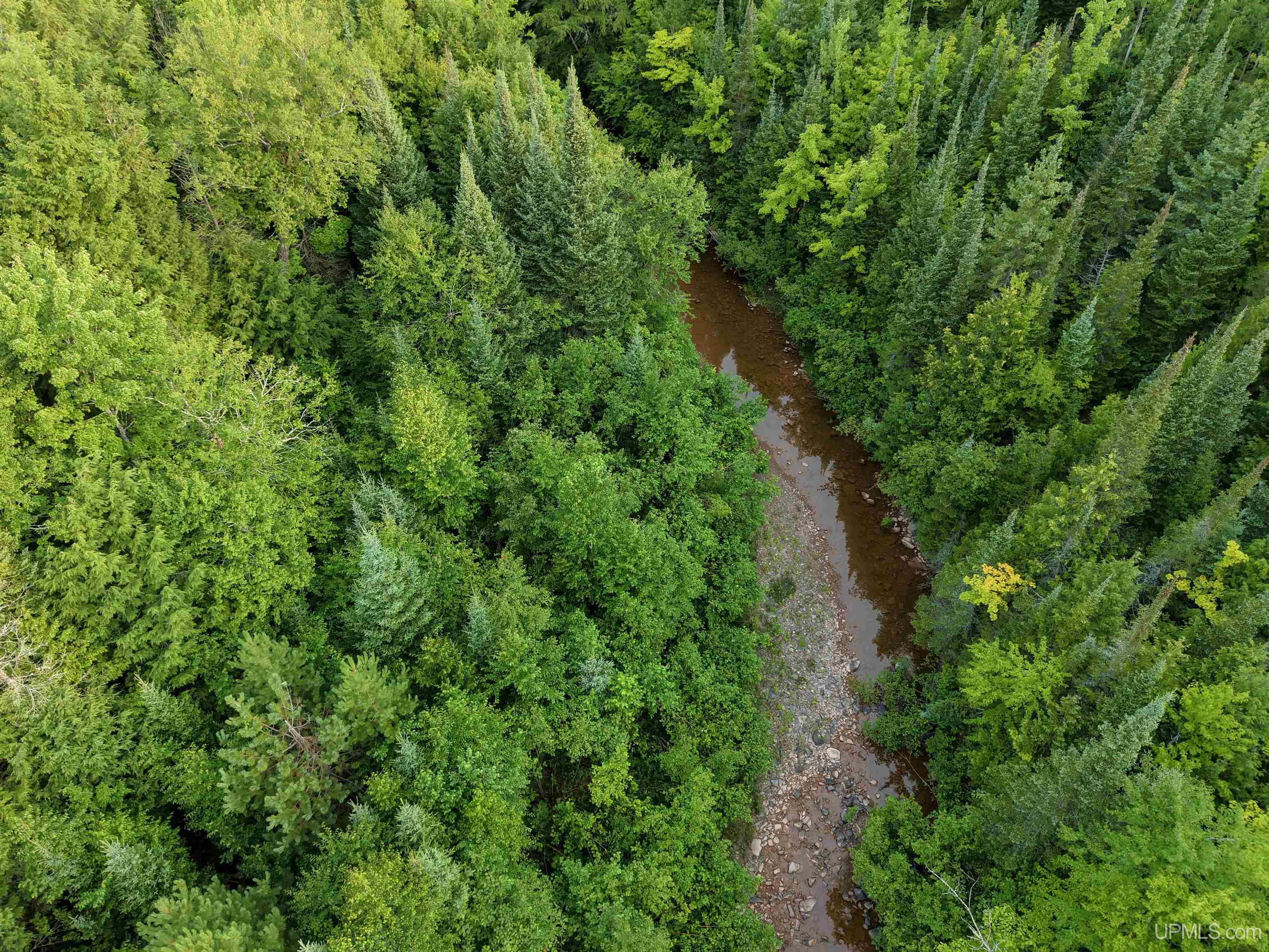 Lot 13 (South) M-64 Highway Property Photo 1