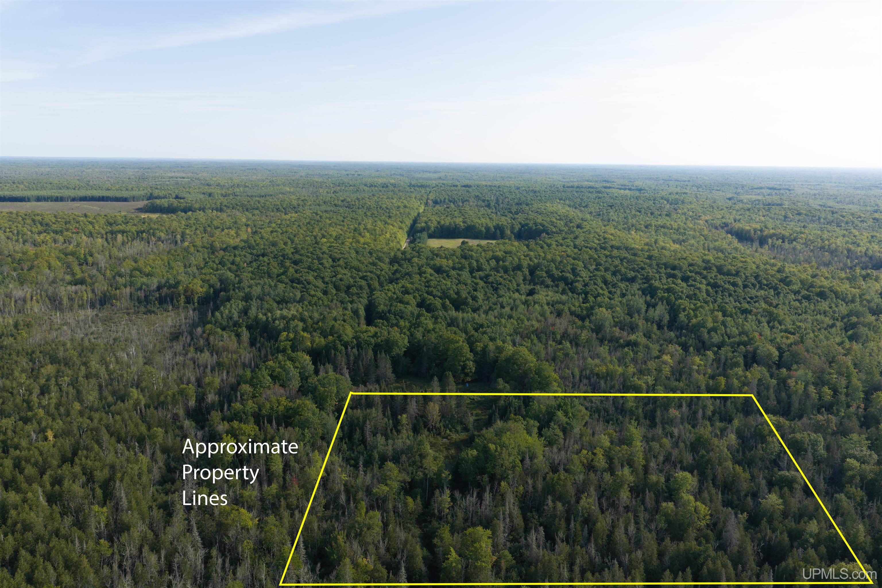 Tbd 40 Acres A Off Diffin Road Property Photo 1