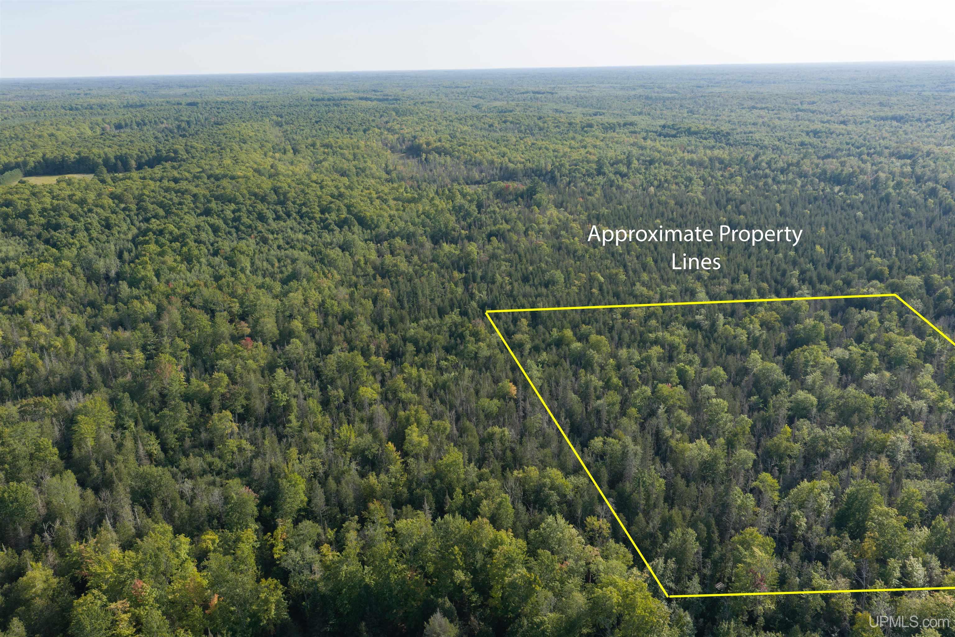 Tbd 40 Acres Parcel B Diffin Road Property Photo 1
