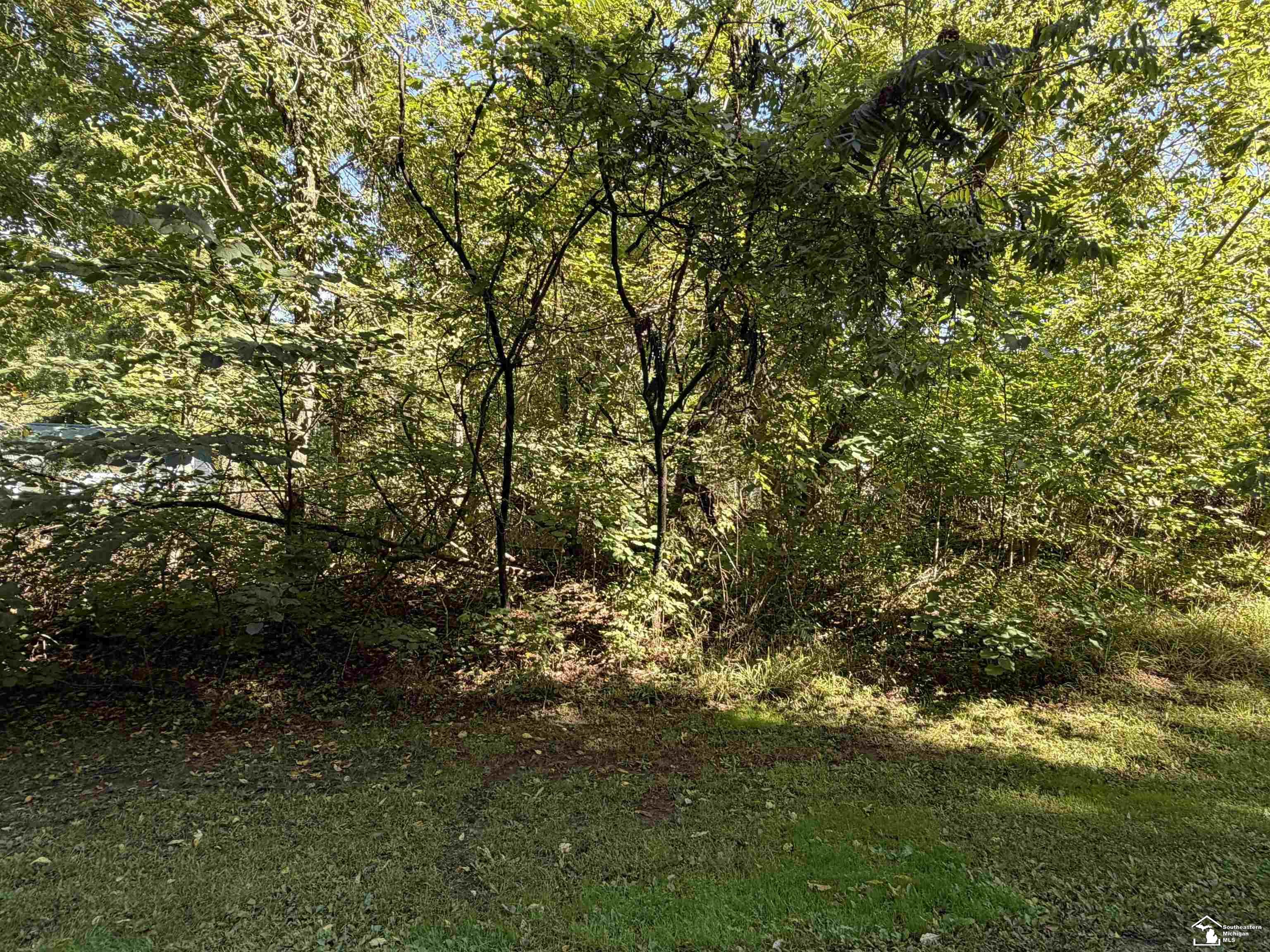 14000 Sandy Beach Road Property Photo 8