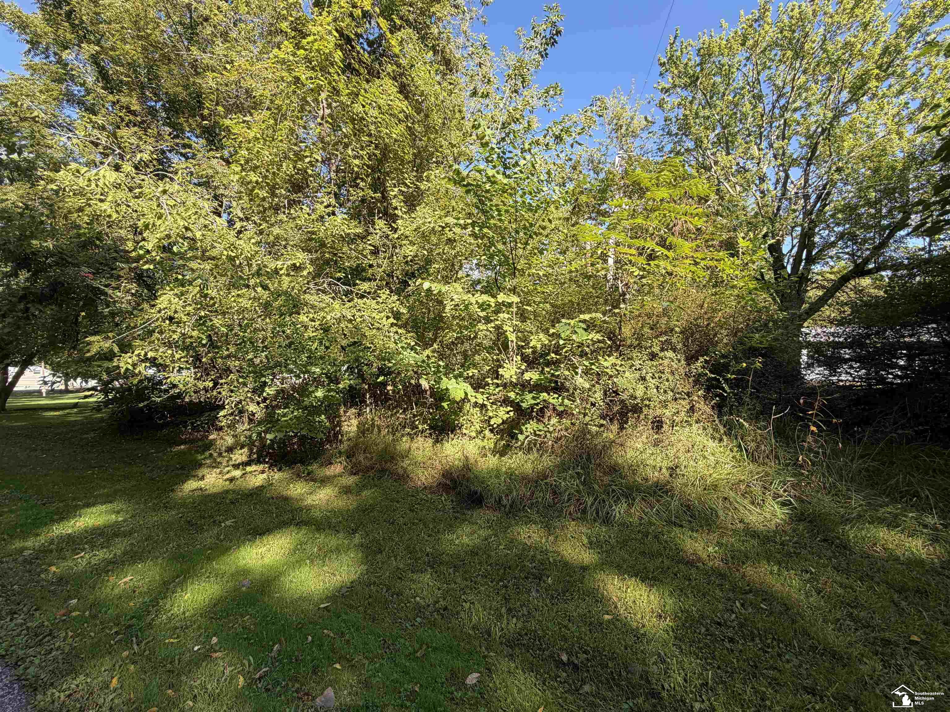 14000 Sandy Beach Road Property Photo 9