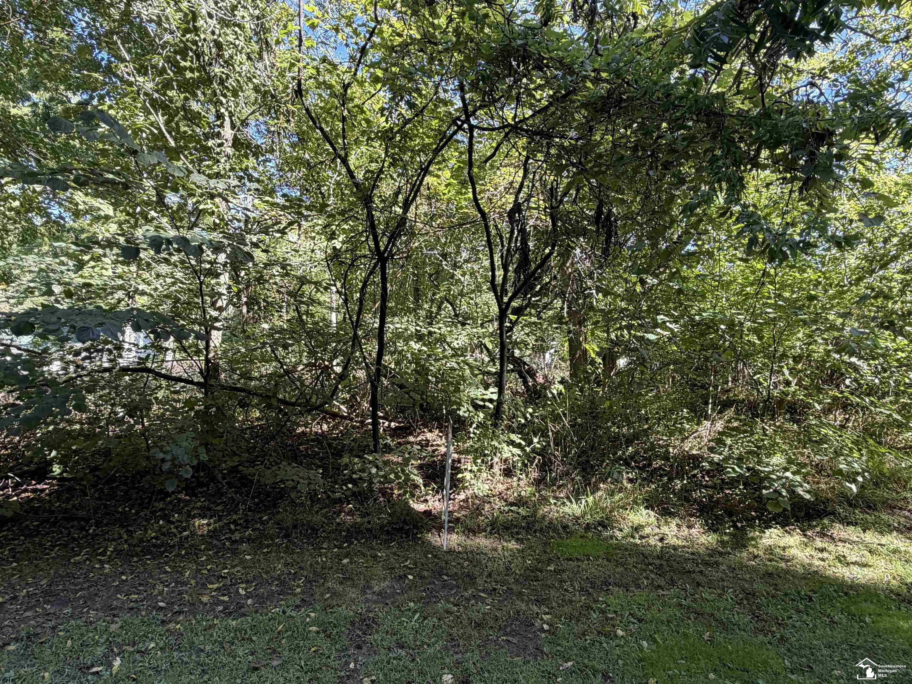 14000 Sandy Beach Road Property Photo 10