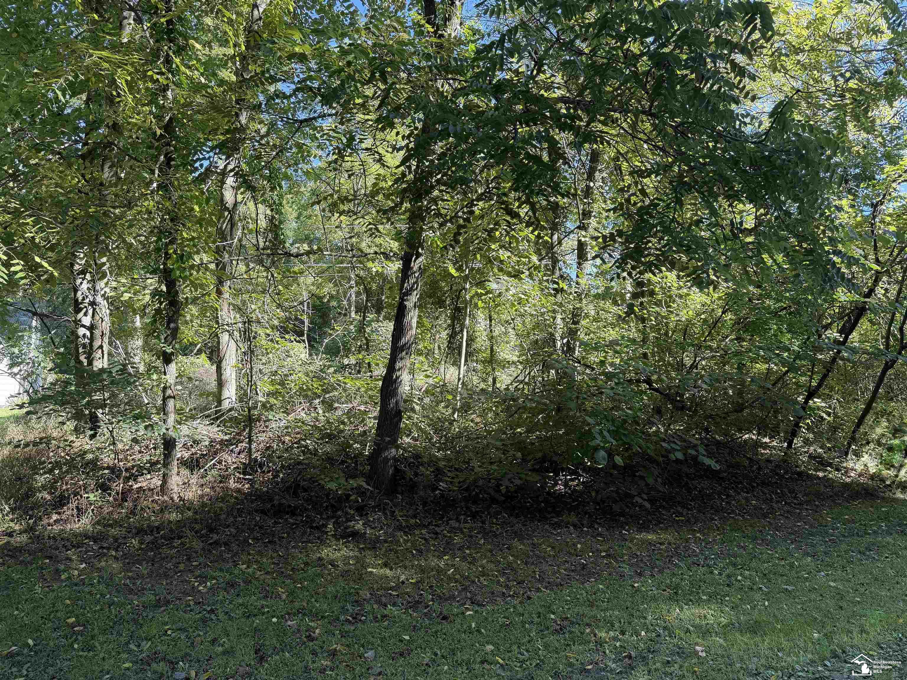 14000 Sandy Beach Road Property Photo 11