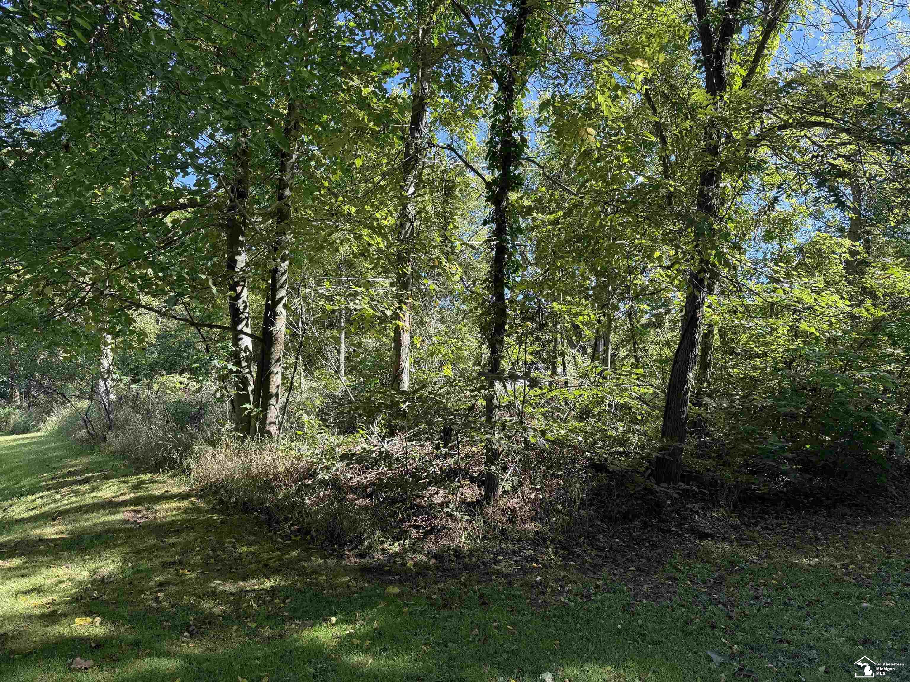 14000 Sandy Beach Road Property Photo 12