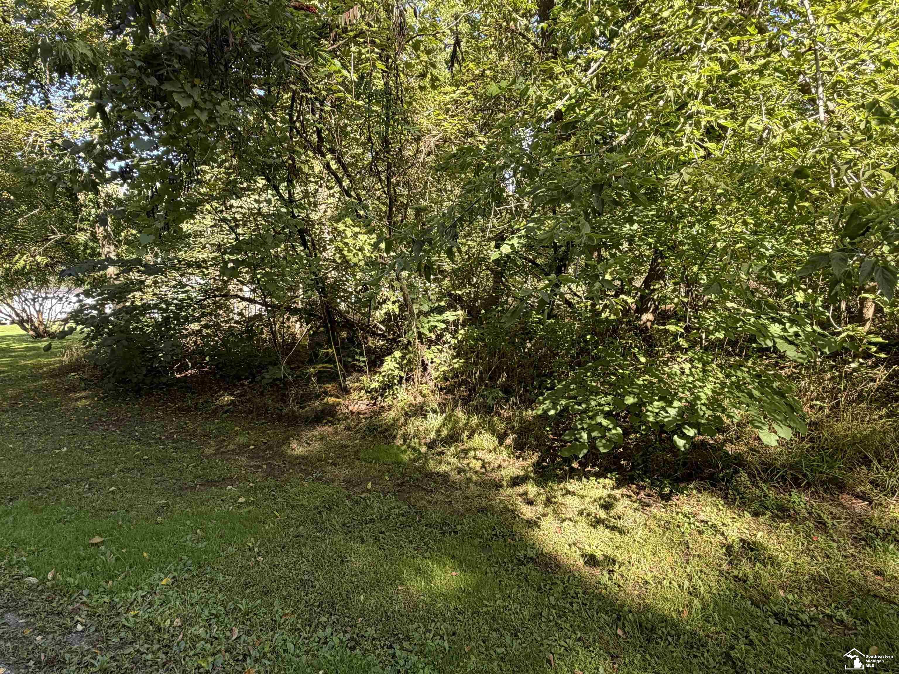 14000 Sandy Beach Road Property Photo 13