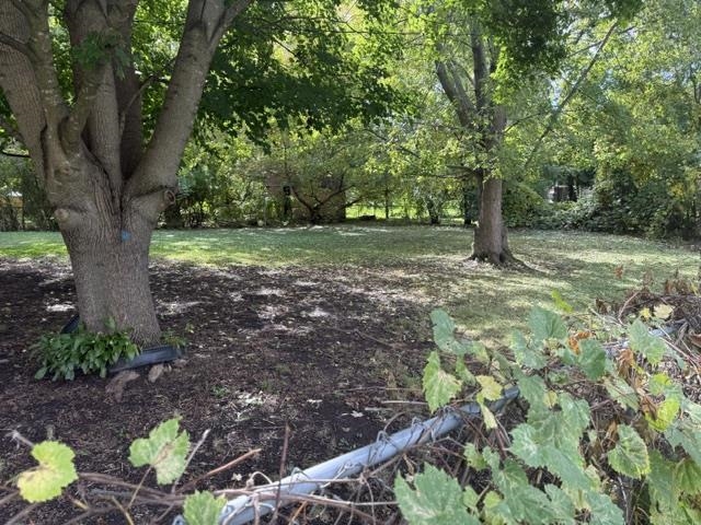 1220 Pacelli Street Property Photo 37
