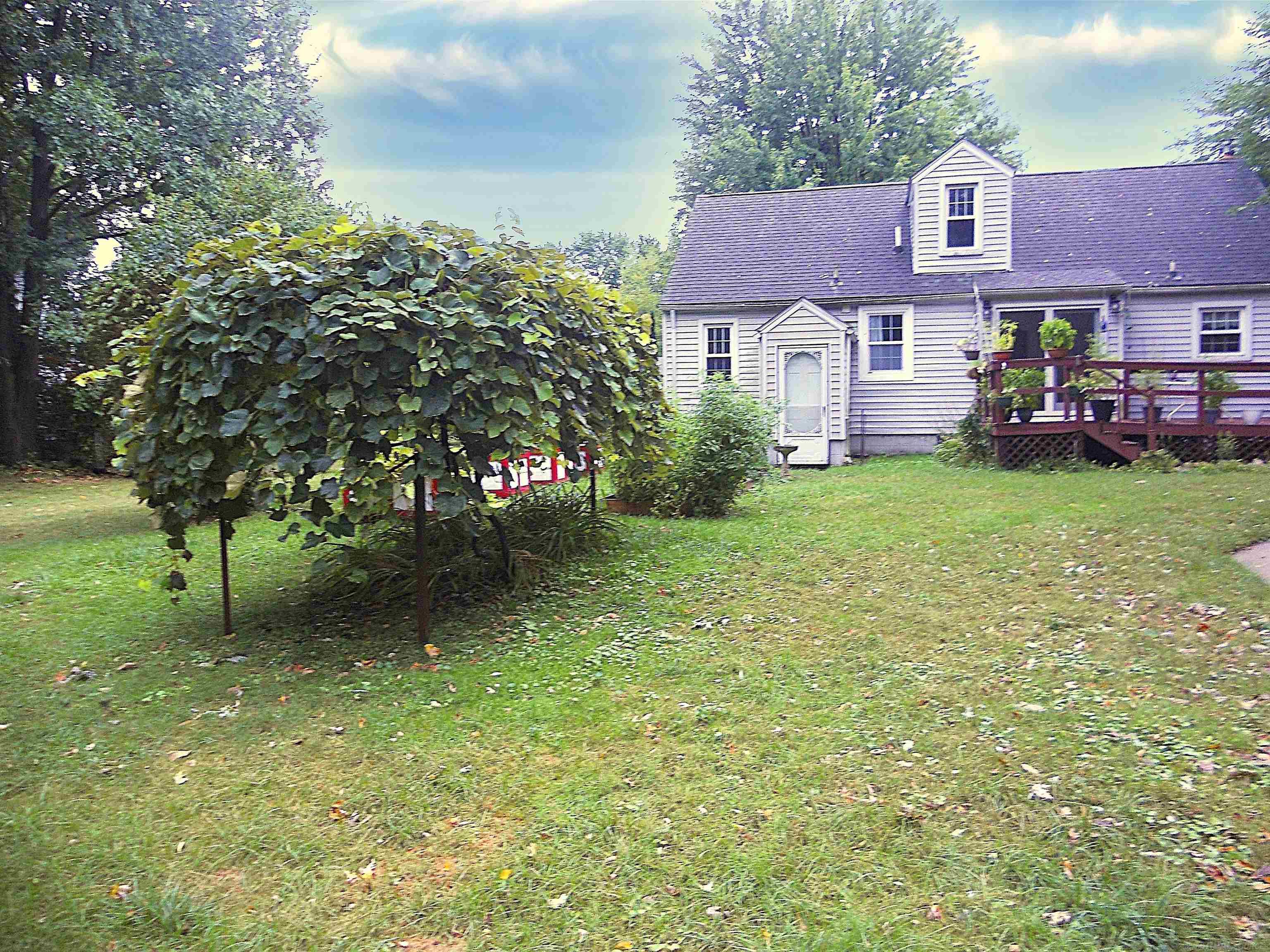 8239 Garbor Drive Property Photo 43