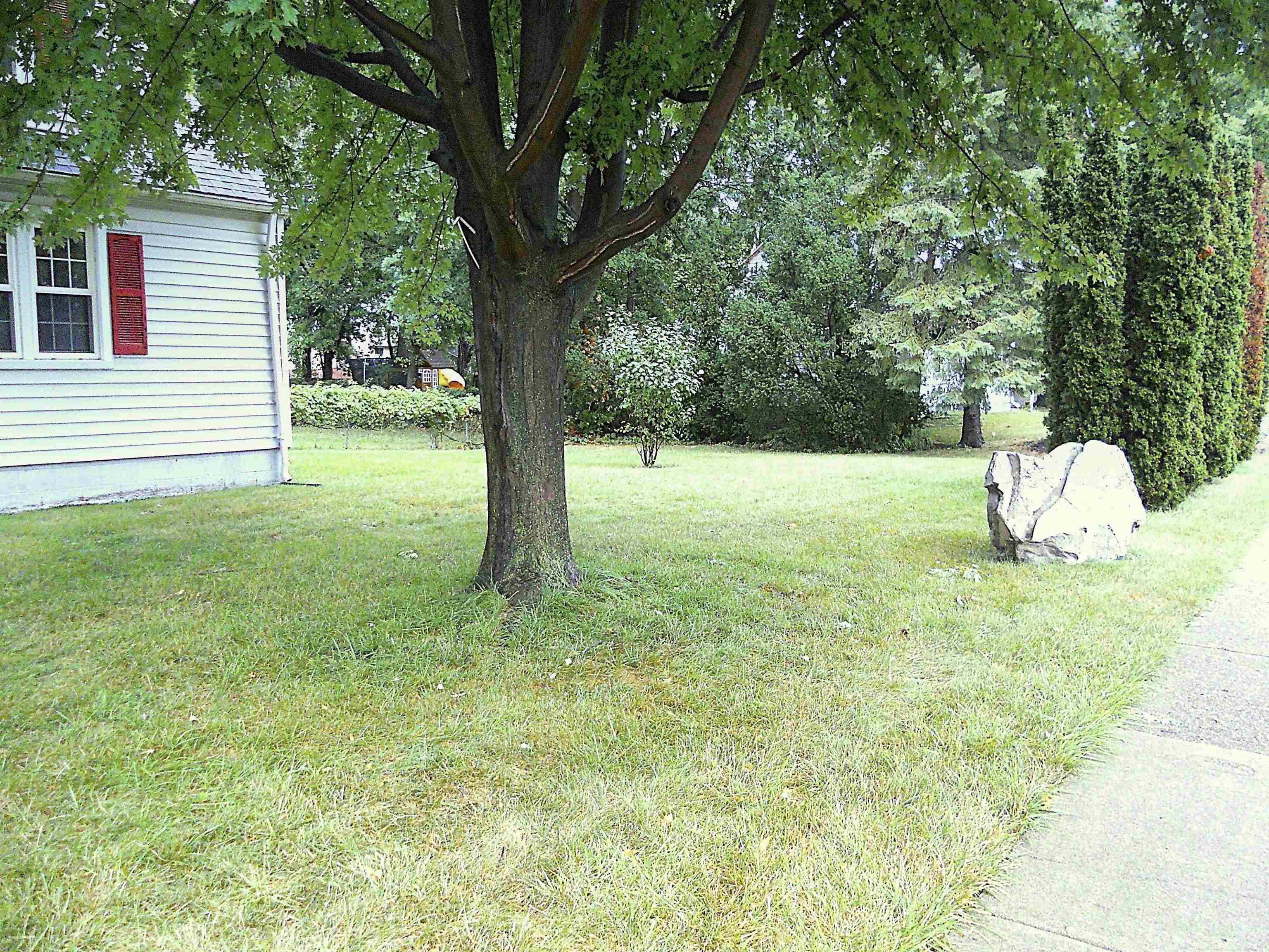 8239 Garbor Drive Property Photo 45