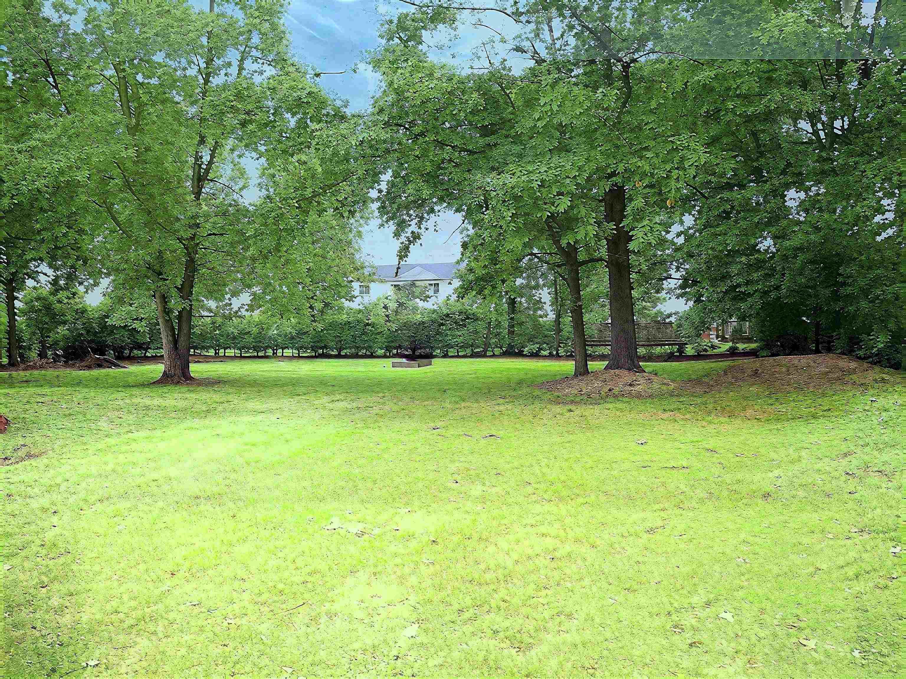 8239 Garbor Drive Property Photo 46