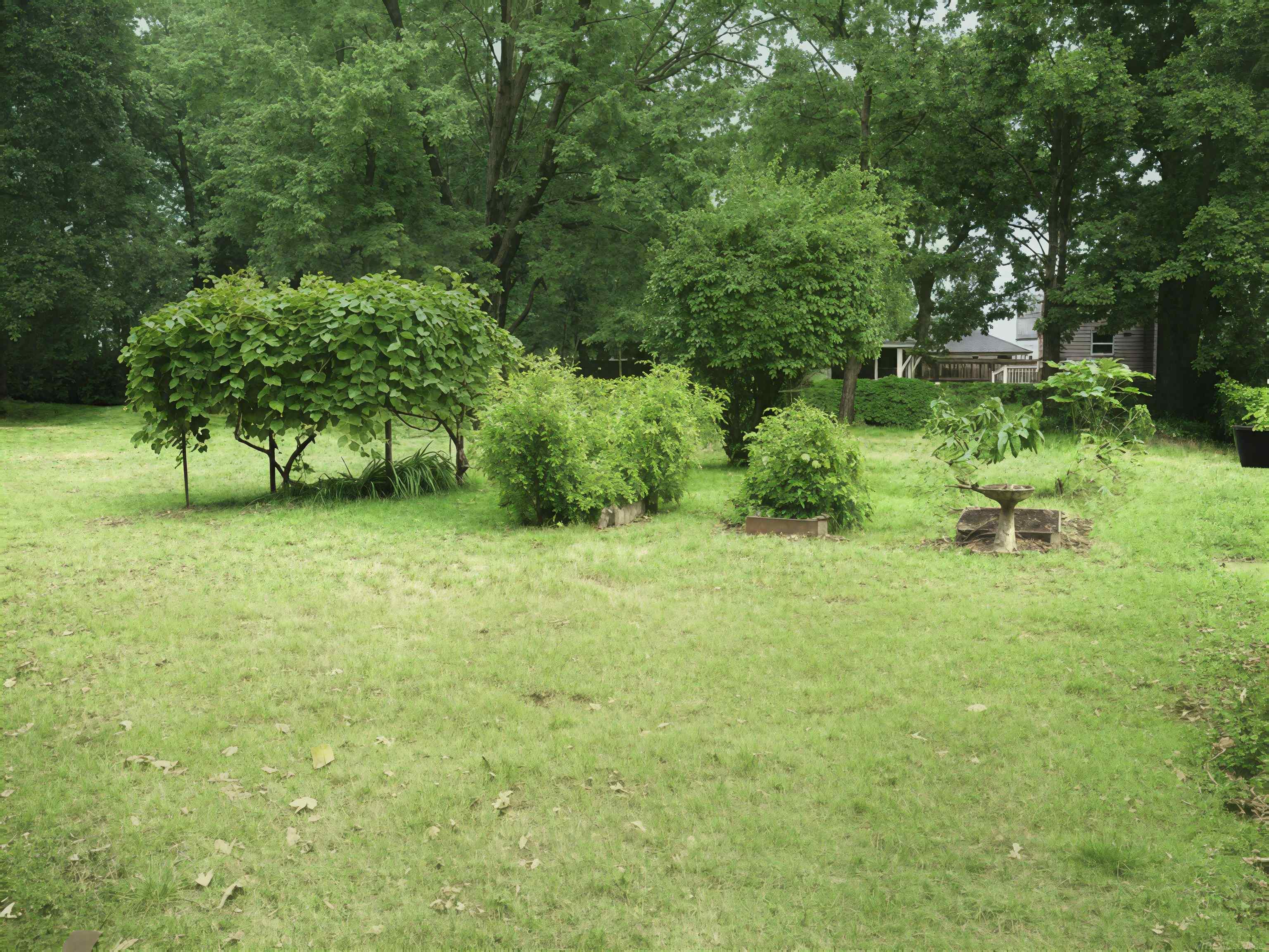 8239 Garbor Drive Property Photo 51