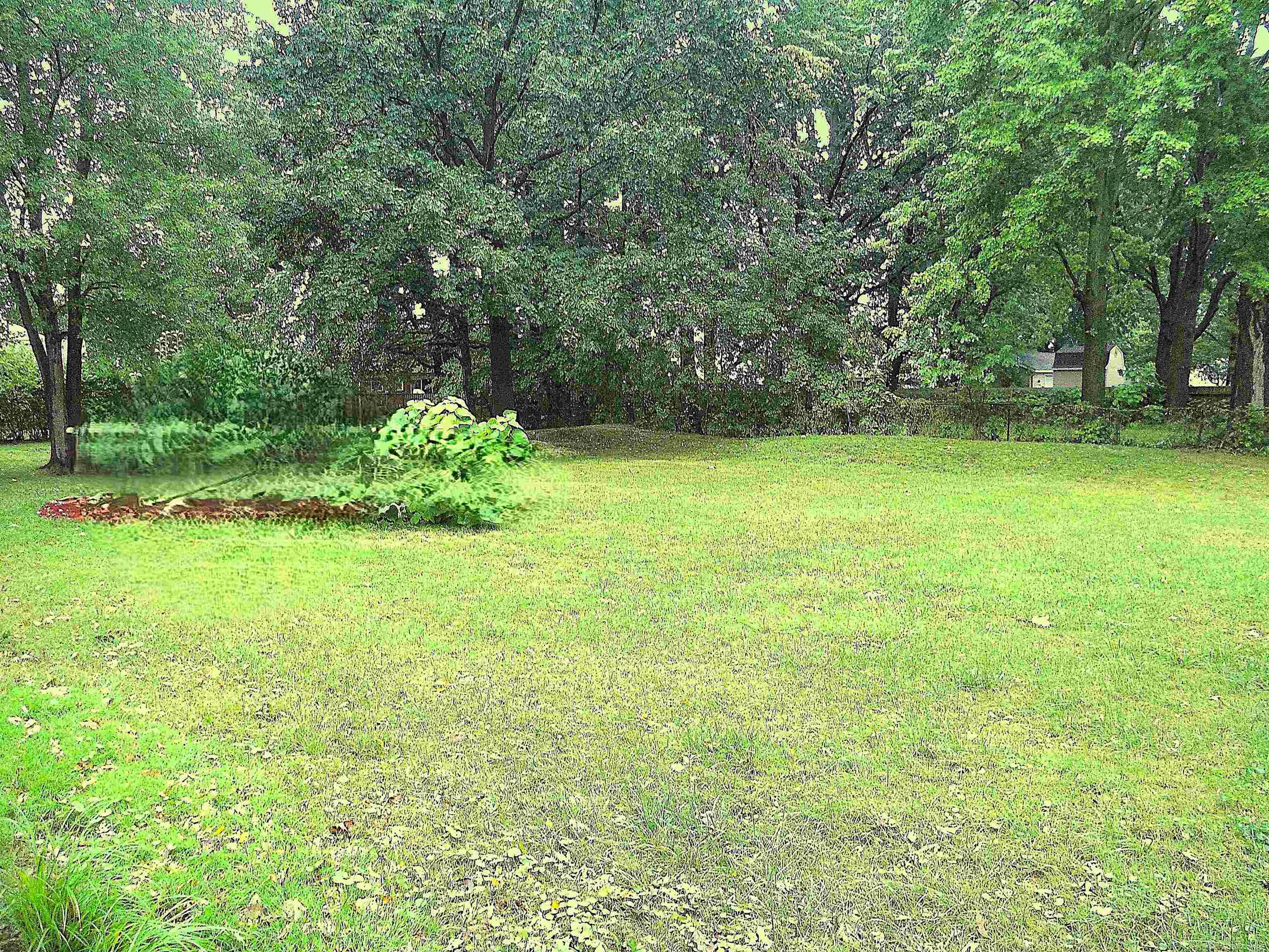 8239 Garbor Drive Property Photo 52