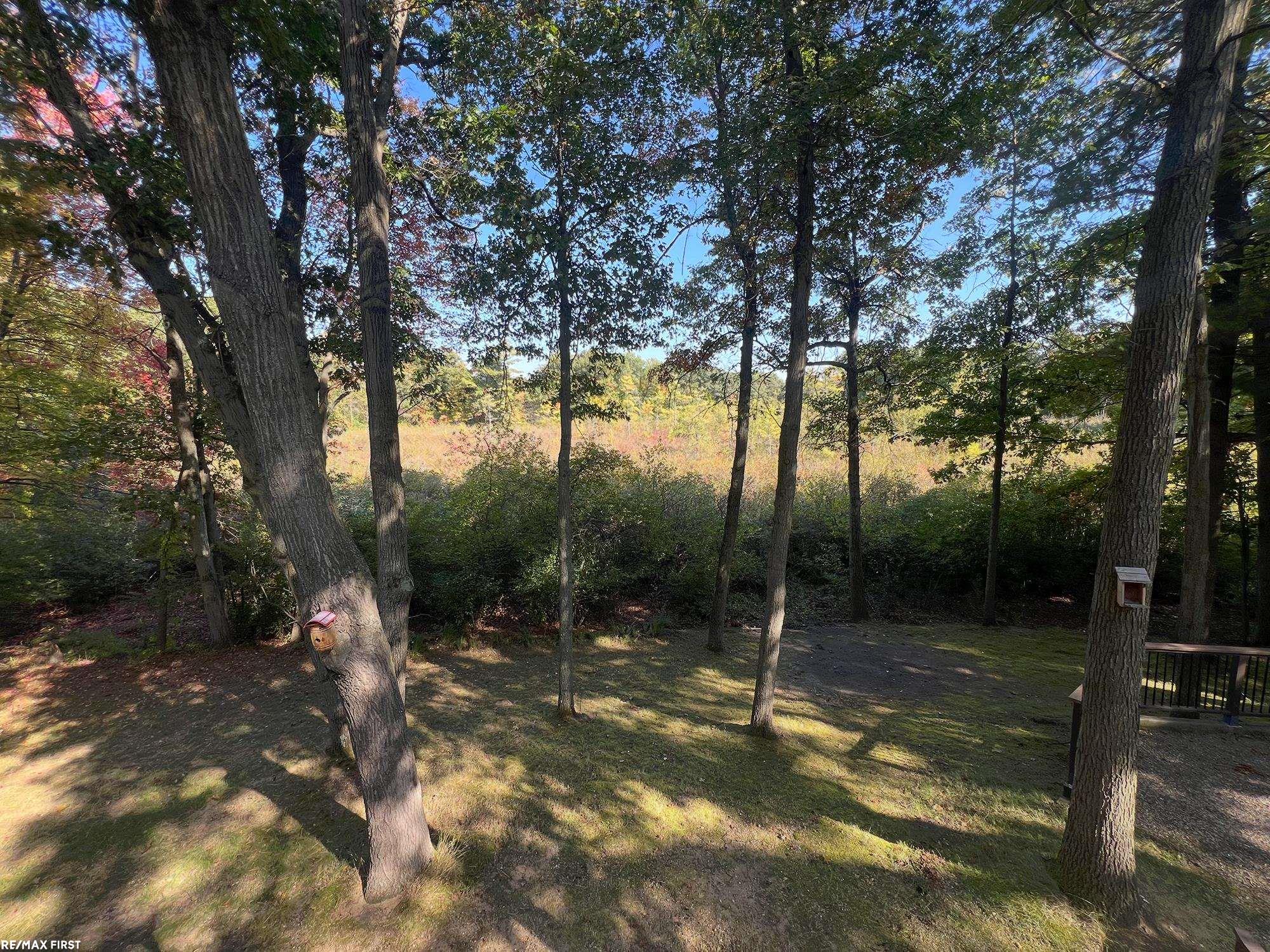 258 Indian Trail Property Photo 77