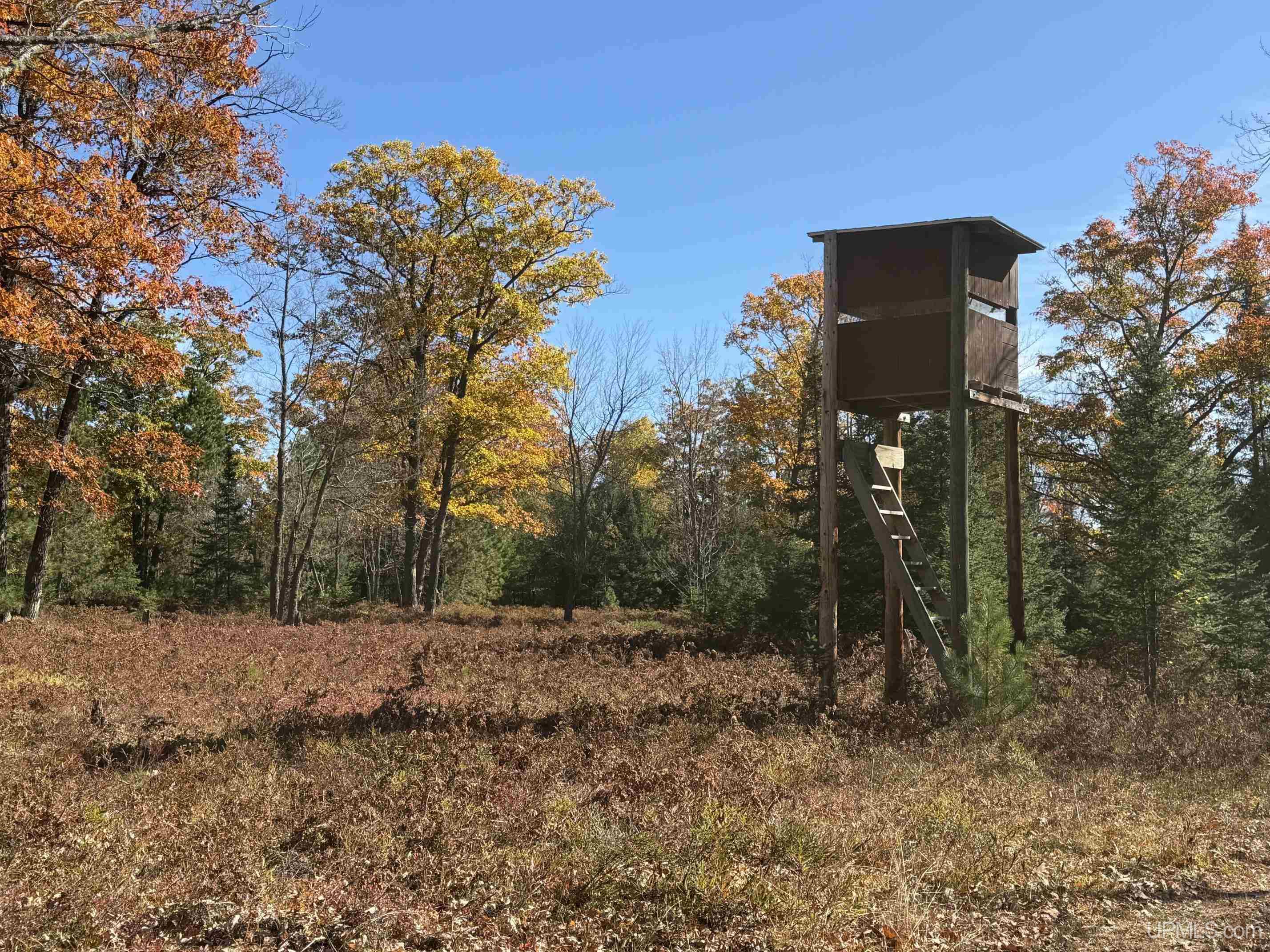11515 Co Rd Cmm Road Property Photo 31