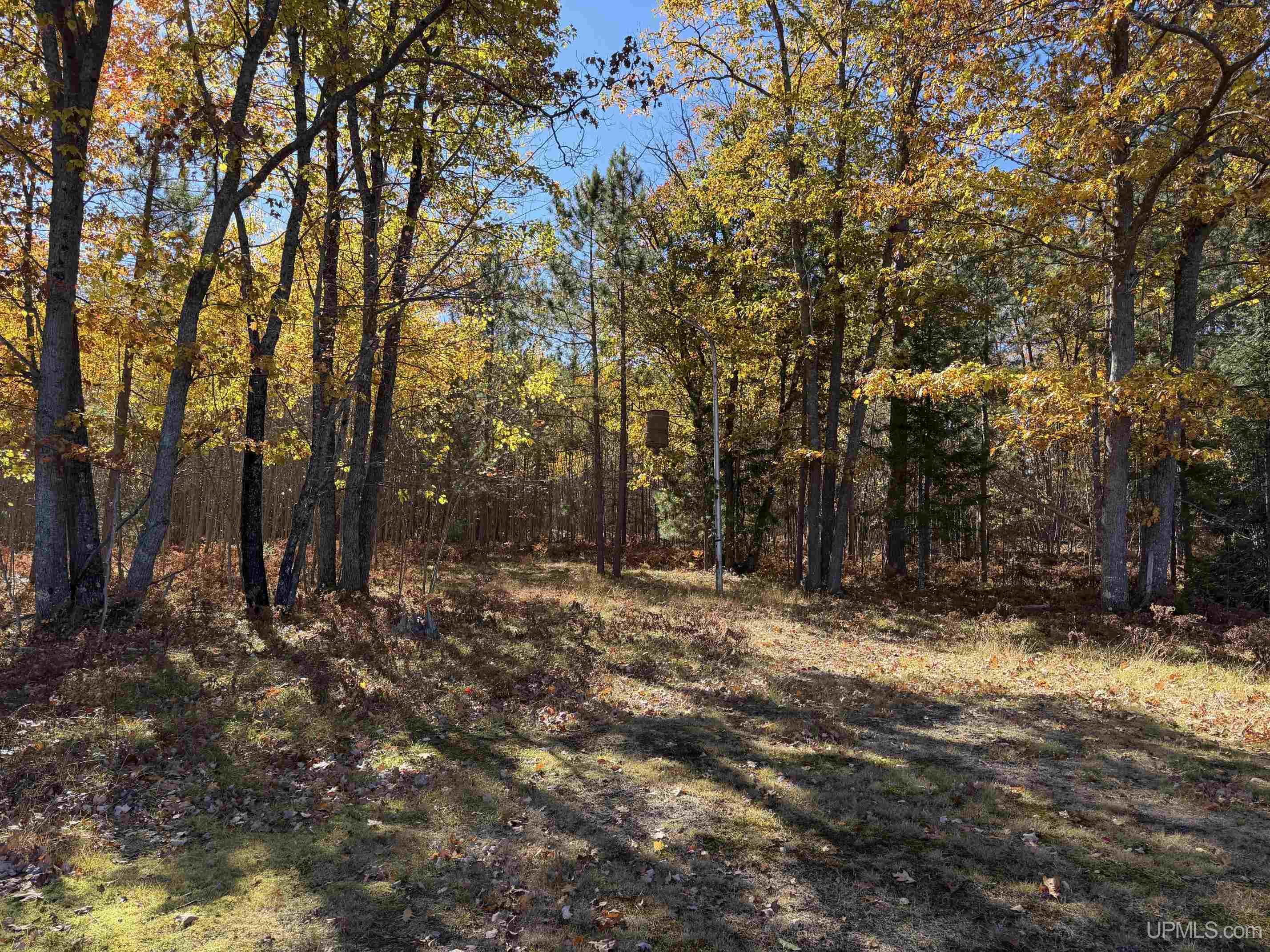 11515 Co Rd Cmm Road Property Photo 37