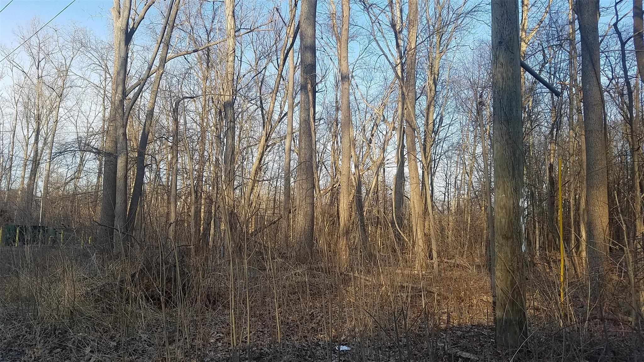 5 Benstein Property Photo 1