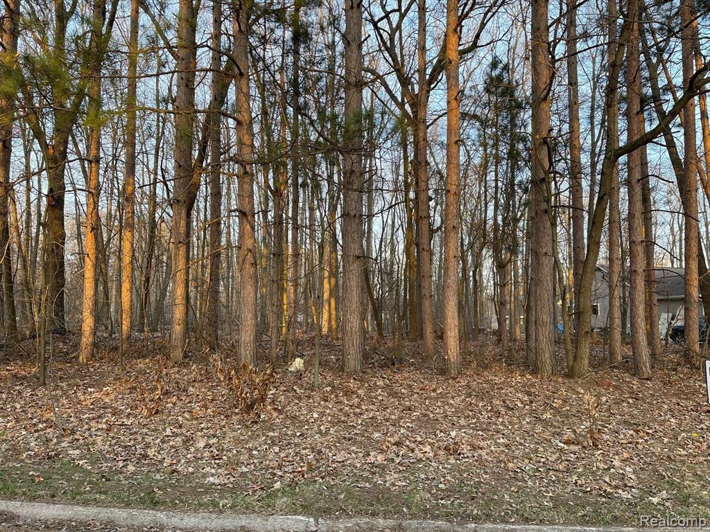 9127 Pineview Lake