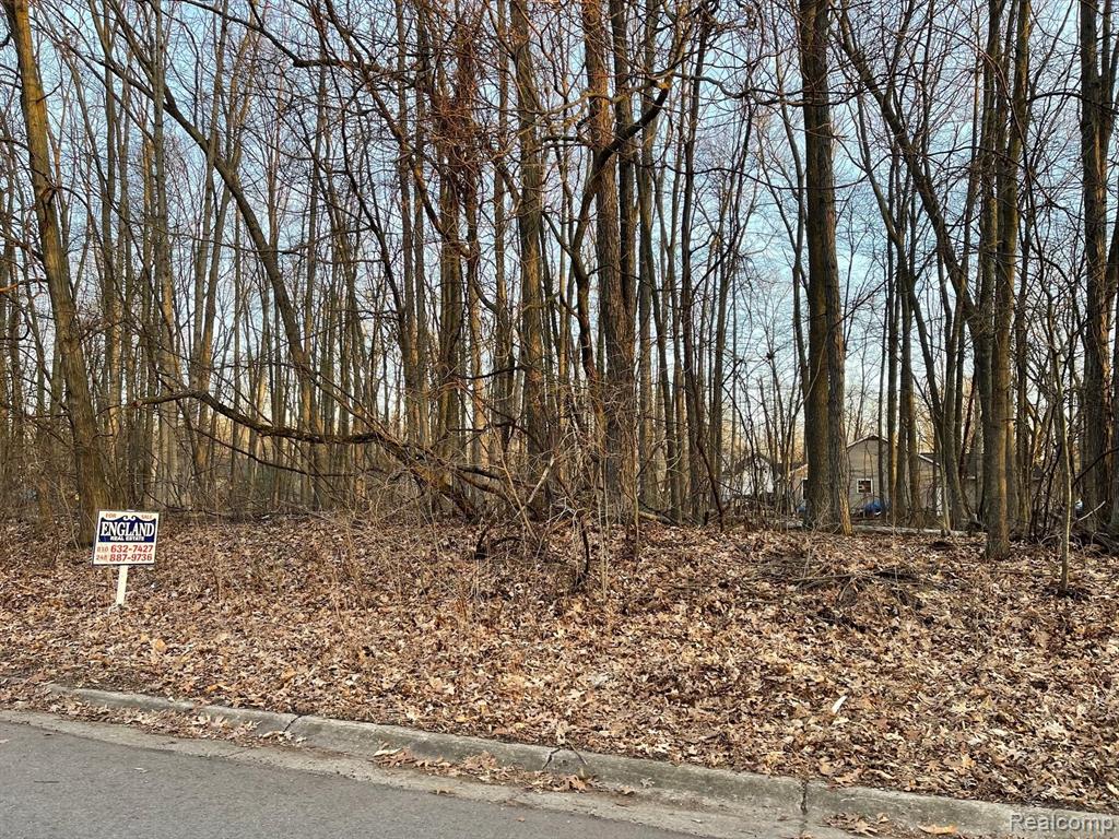 9127 Pineview Lake Property Photo 3