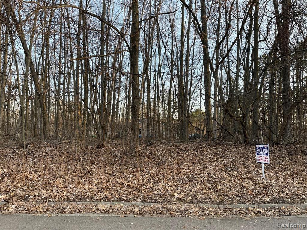 9127 Pineview Lake Property Photo 4