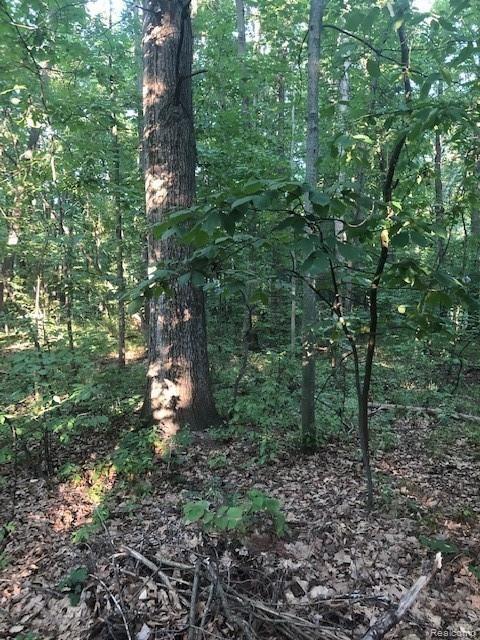 9127 Pineview Lake Property Photo 5