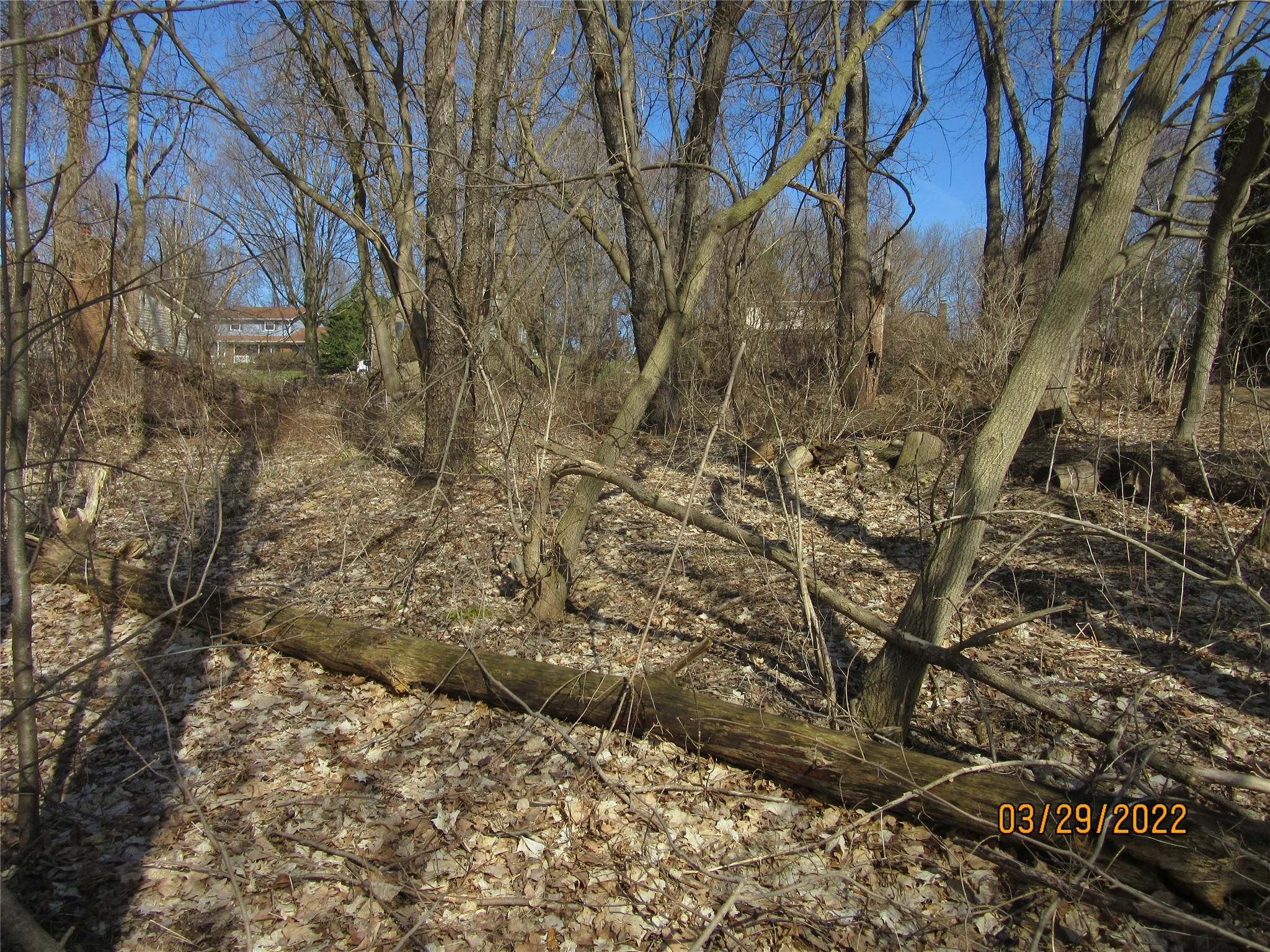 Lot 19 Milford Heights Property Photo 2
