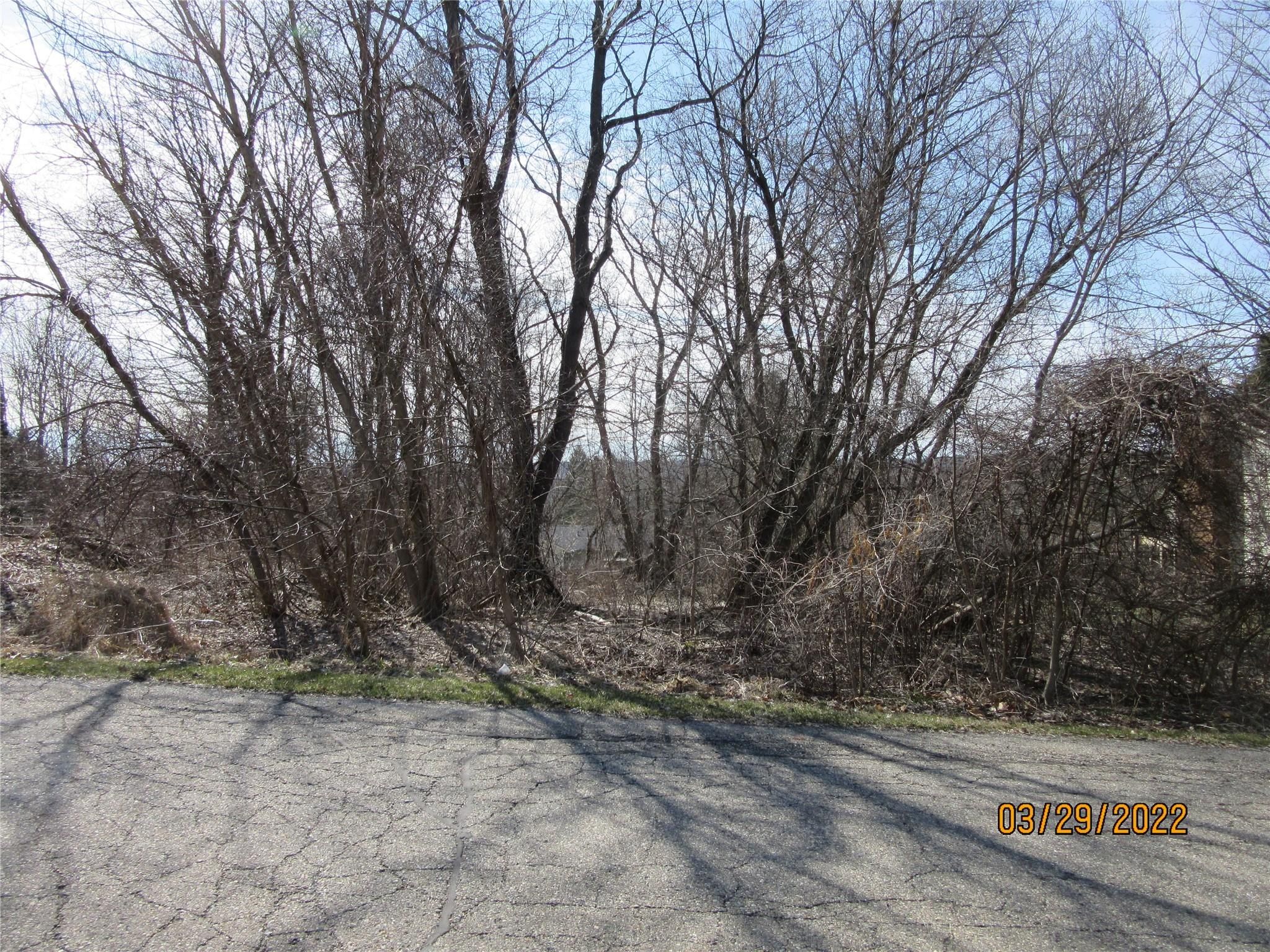 Lot 19 Milford Heights Property Photo 3