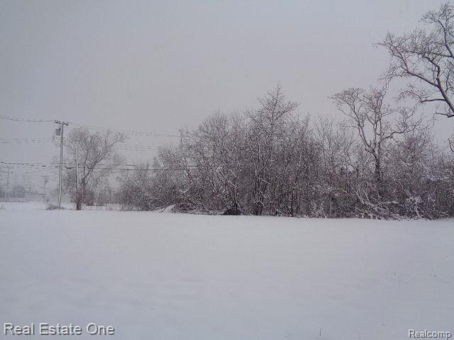 1043 CANTON Street Property Photo 1