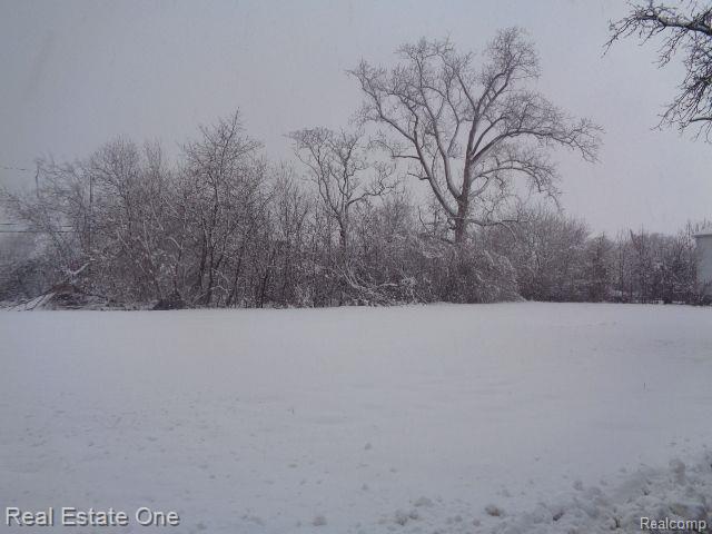 1043 Canton Street Property Photo 2