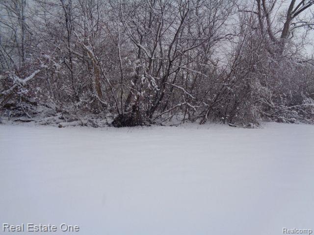 1043 Canton Street Property Photo 3