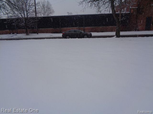 1043 Canton Street Property Photo 4
