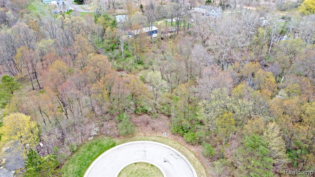 505 Bluebird Trail Property Photo 10