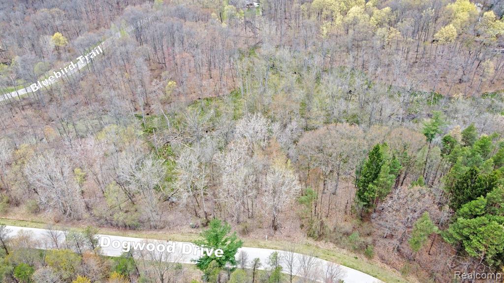 505 Bluebird Trail Property Photo 12
