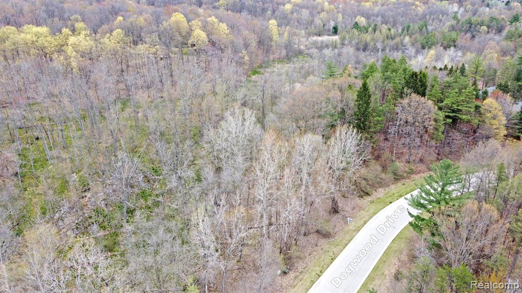 505 Bluebird Trail Property Photo 13